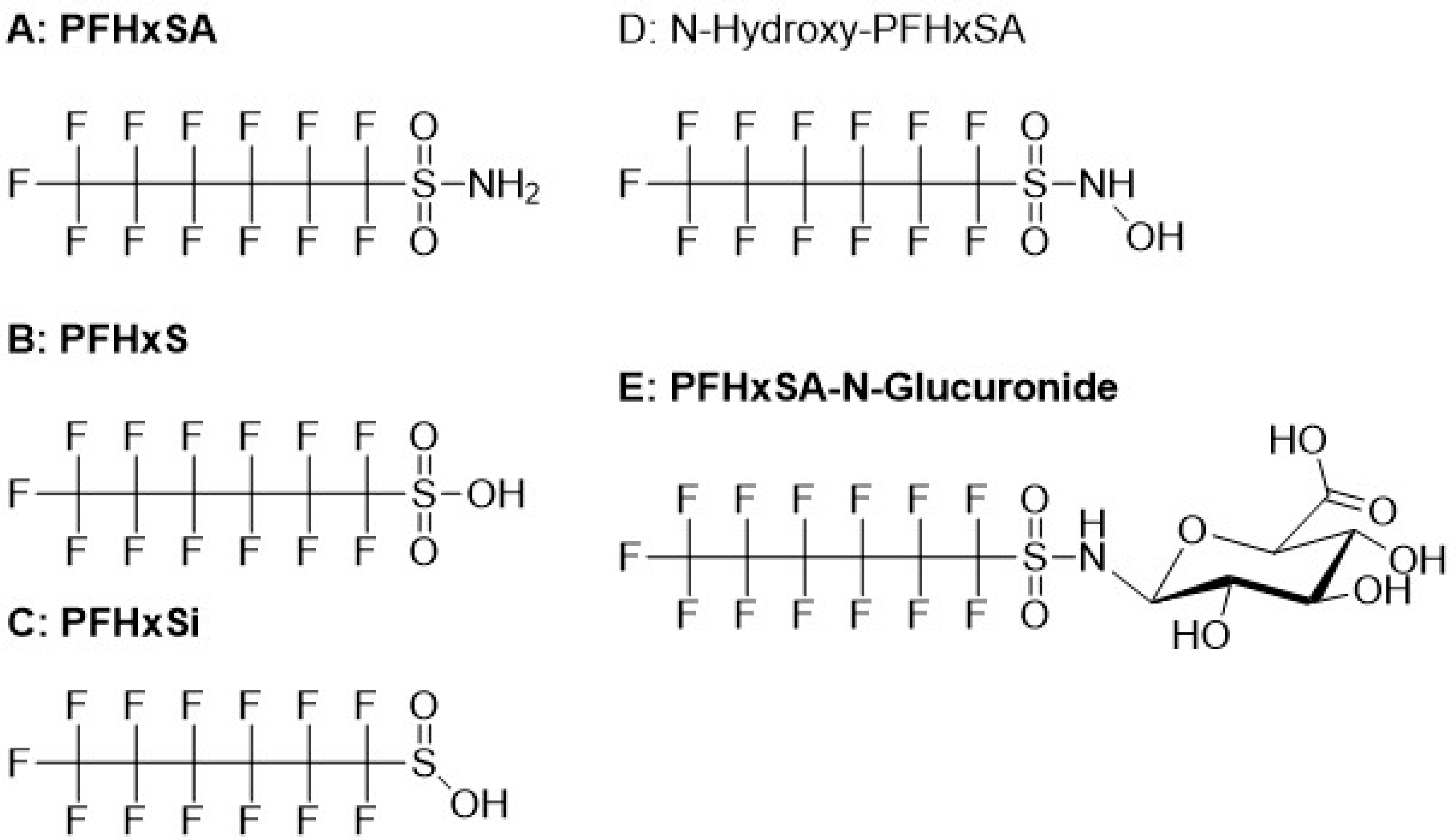 Toxics 13 00523 g001