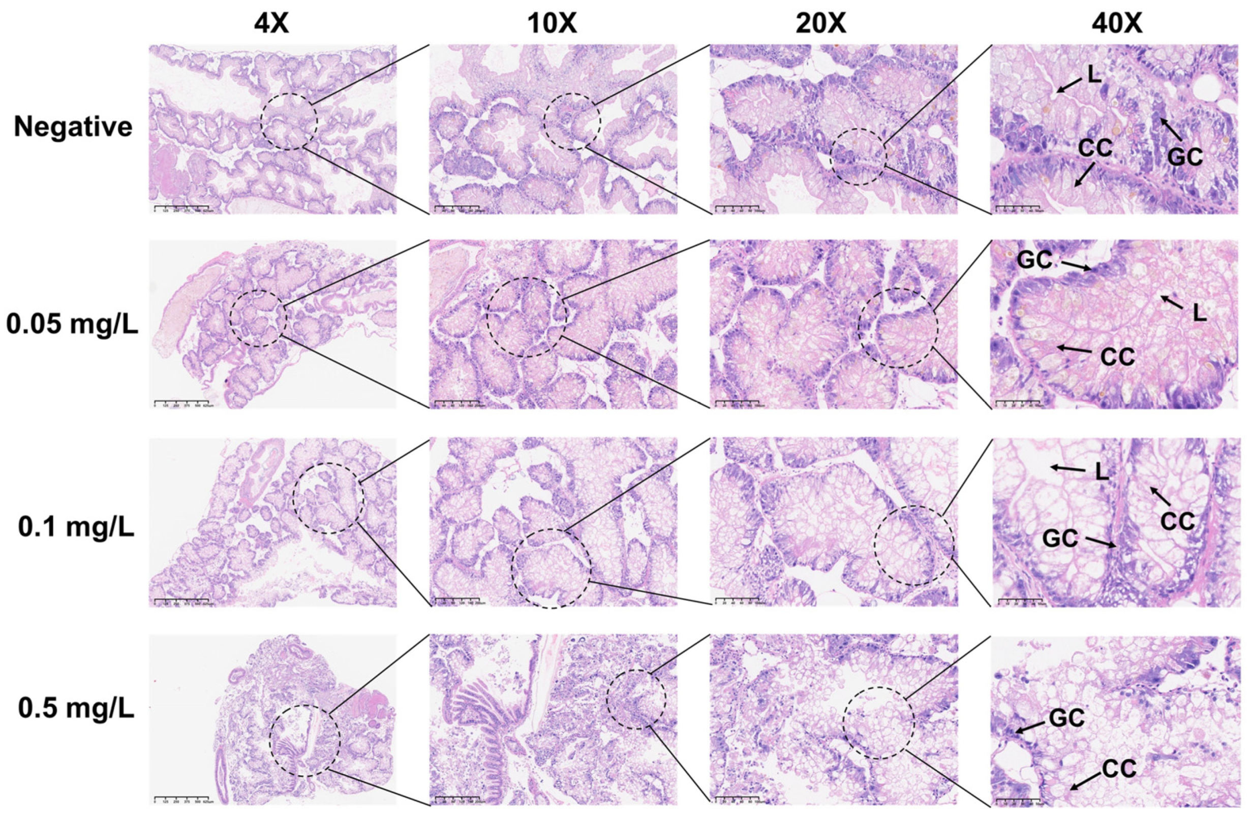 Toxics 13 00528 g003