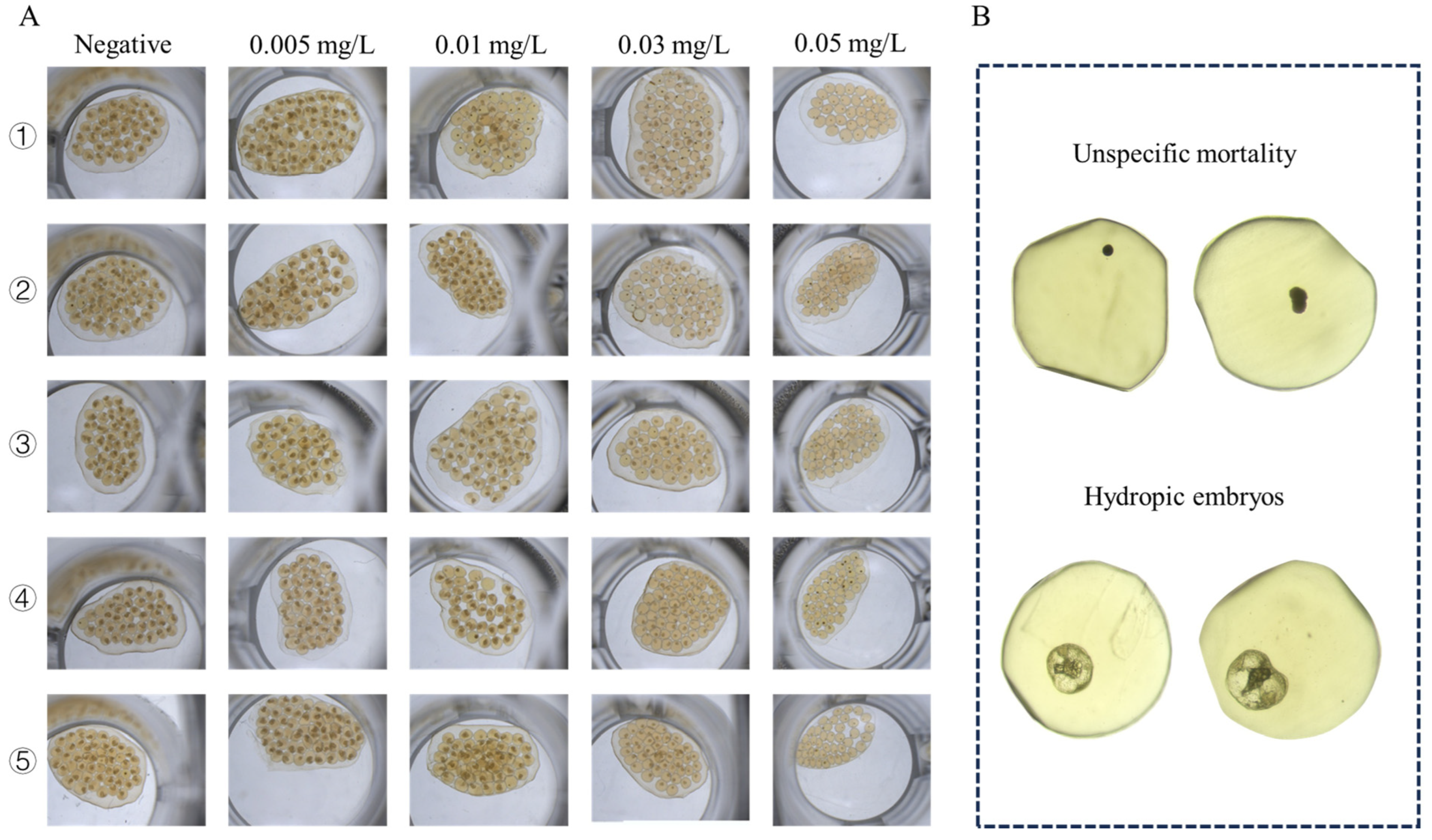 Toxics 13 00528 g005