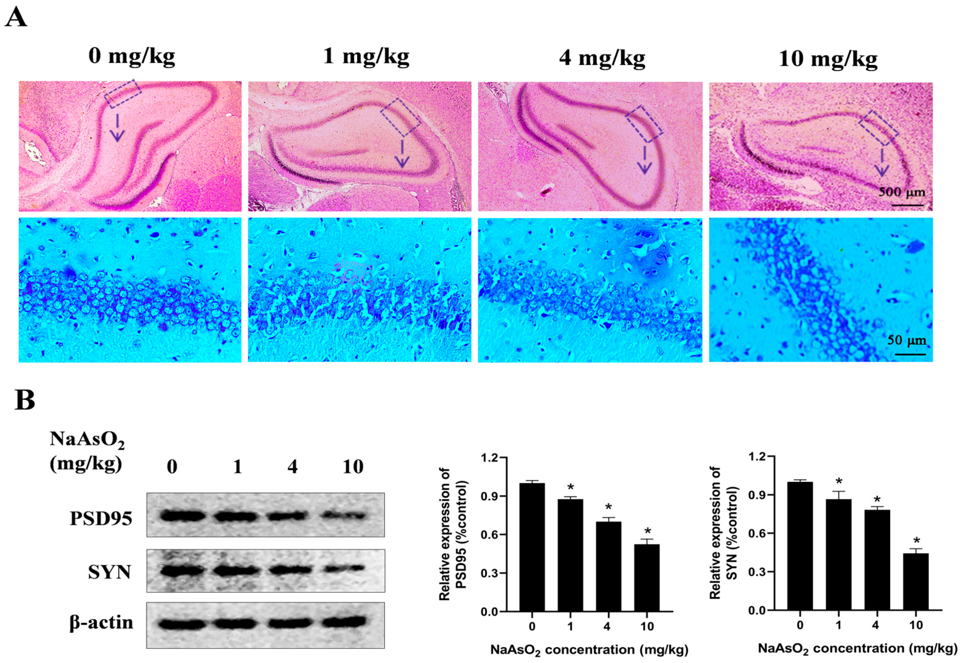 Toxics 13 00538 g001