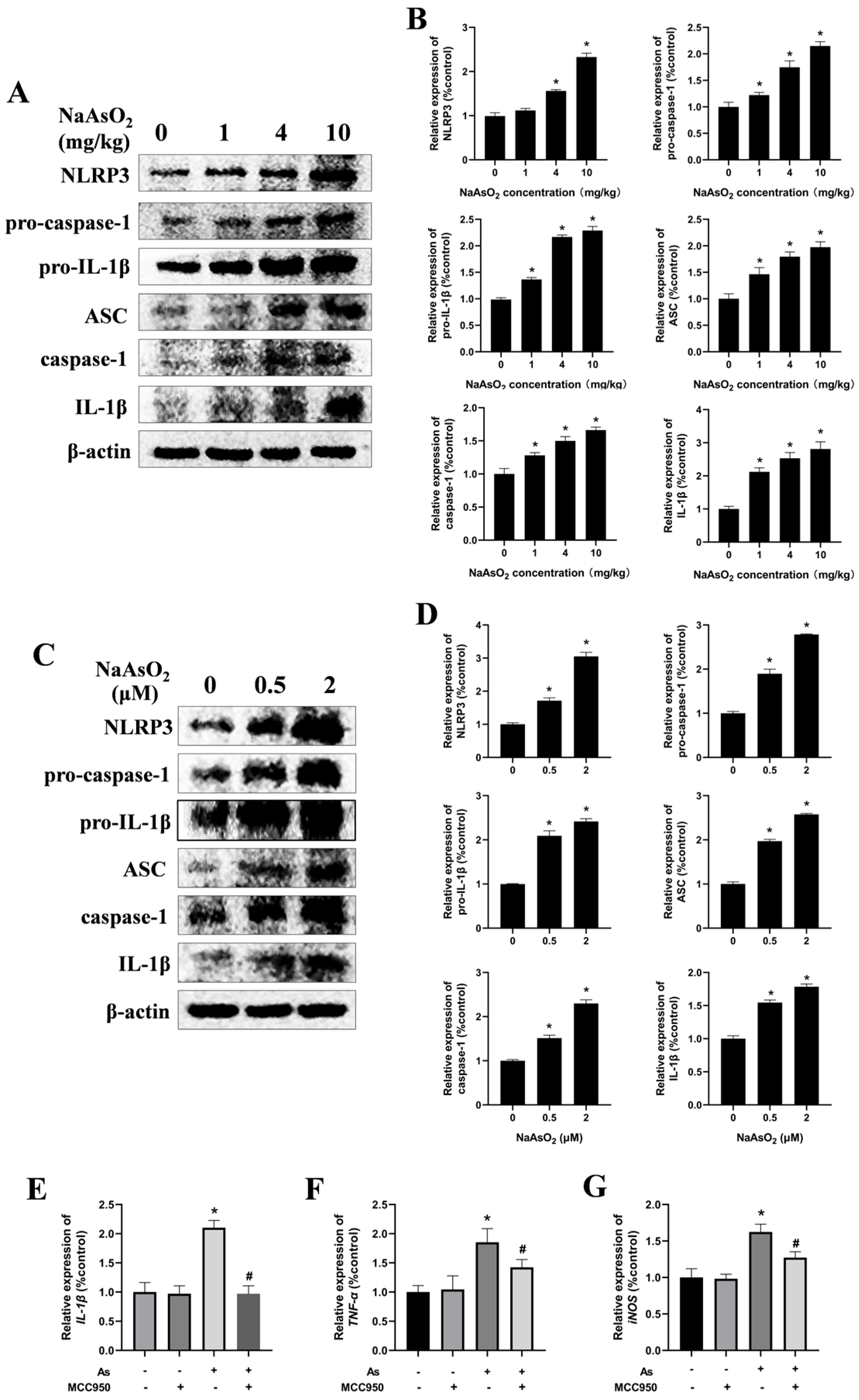 Toxics 13 00538 g004