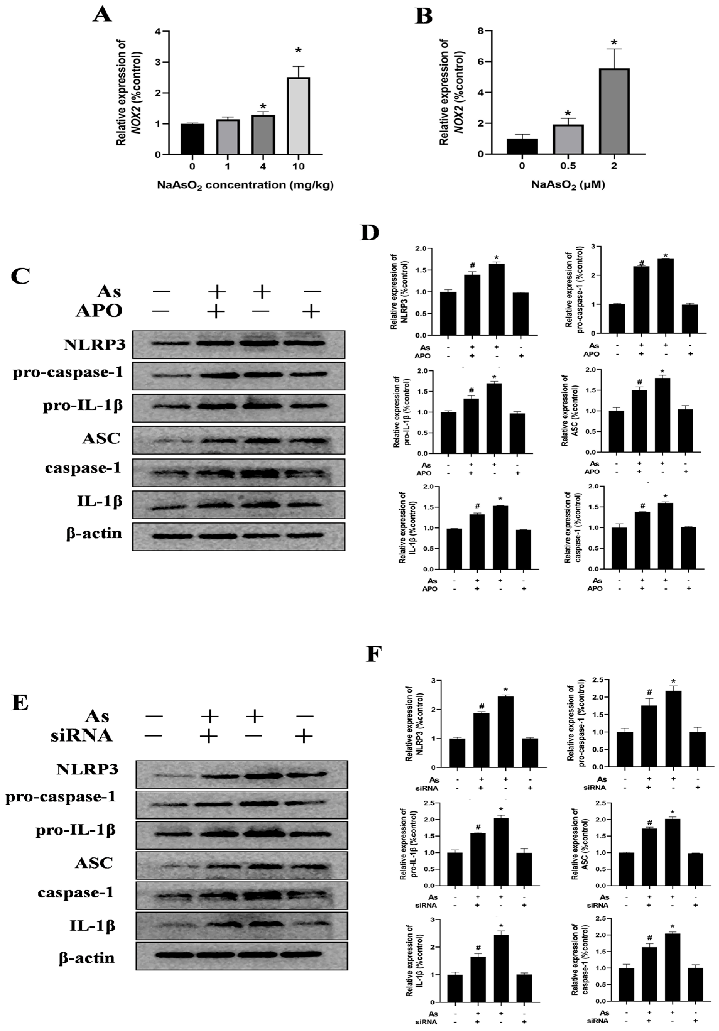 Toxics 13 00538 g005