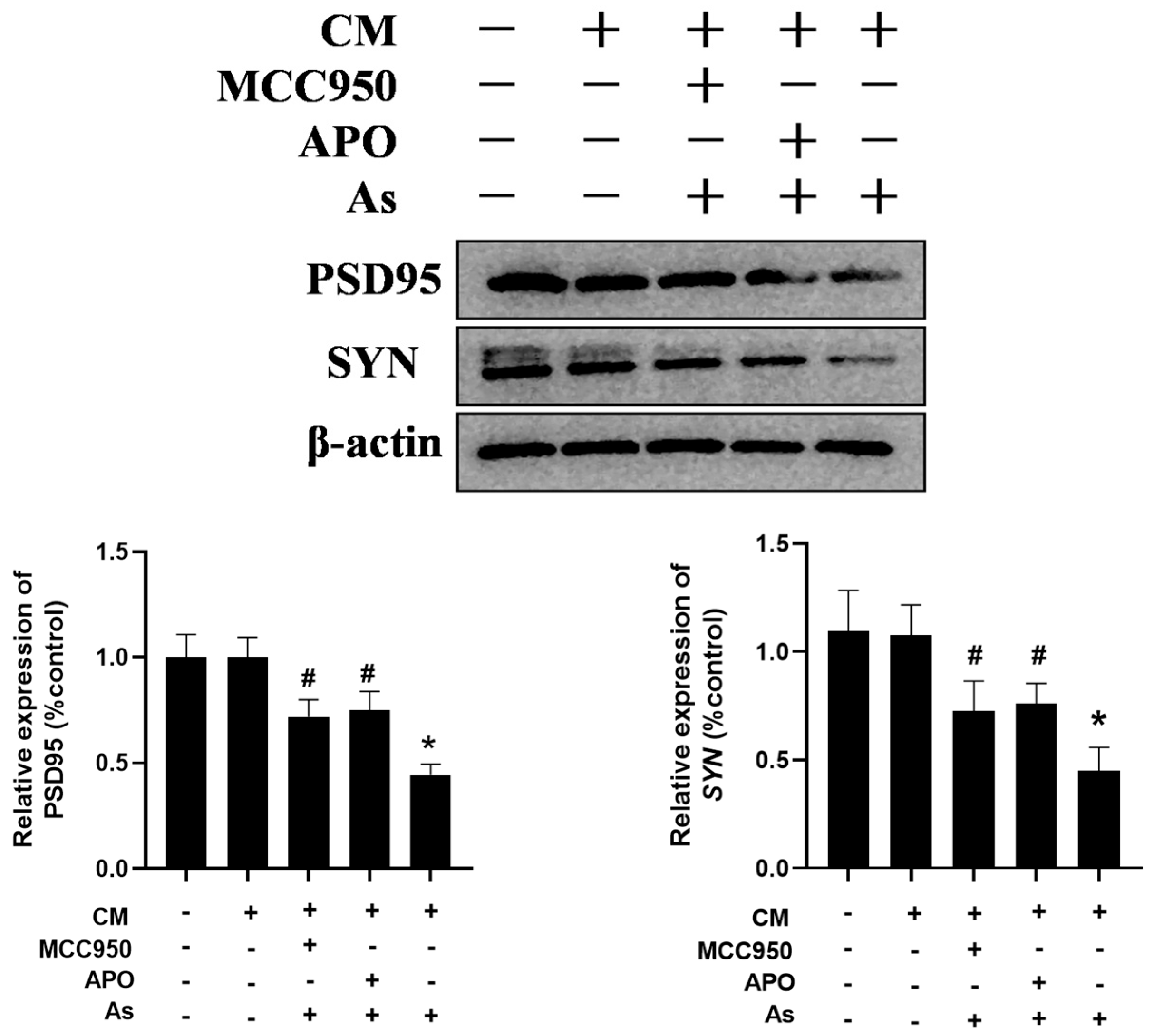 Toxics 13 00538 g006