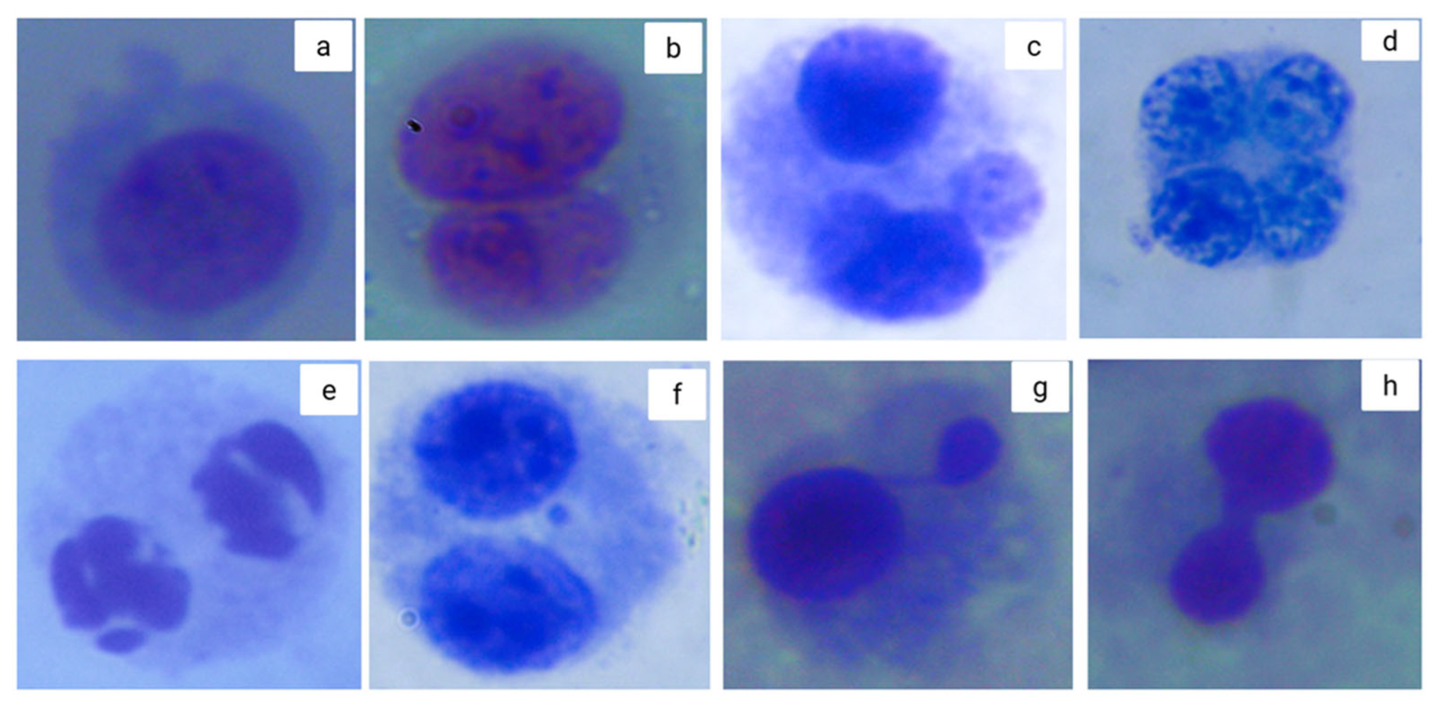 Toxics 13 00539 g002 Toxics 13 00539 g002