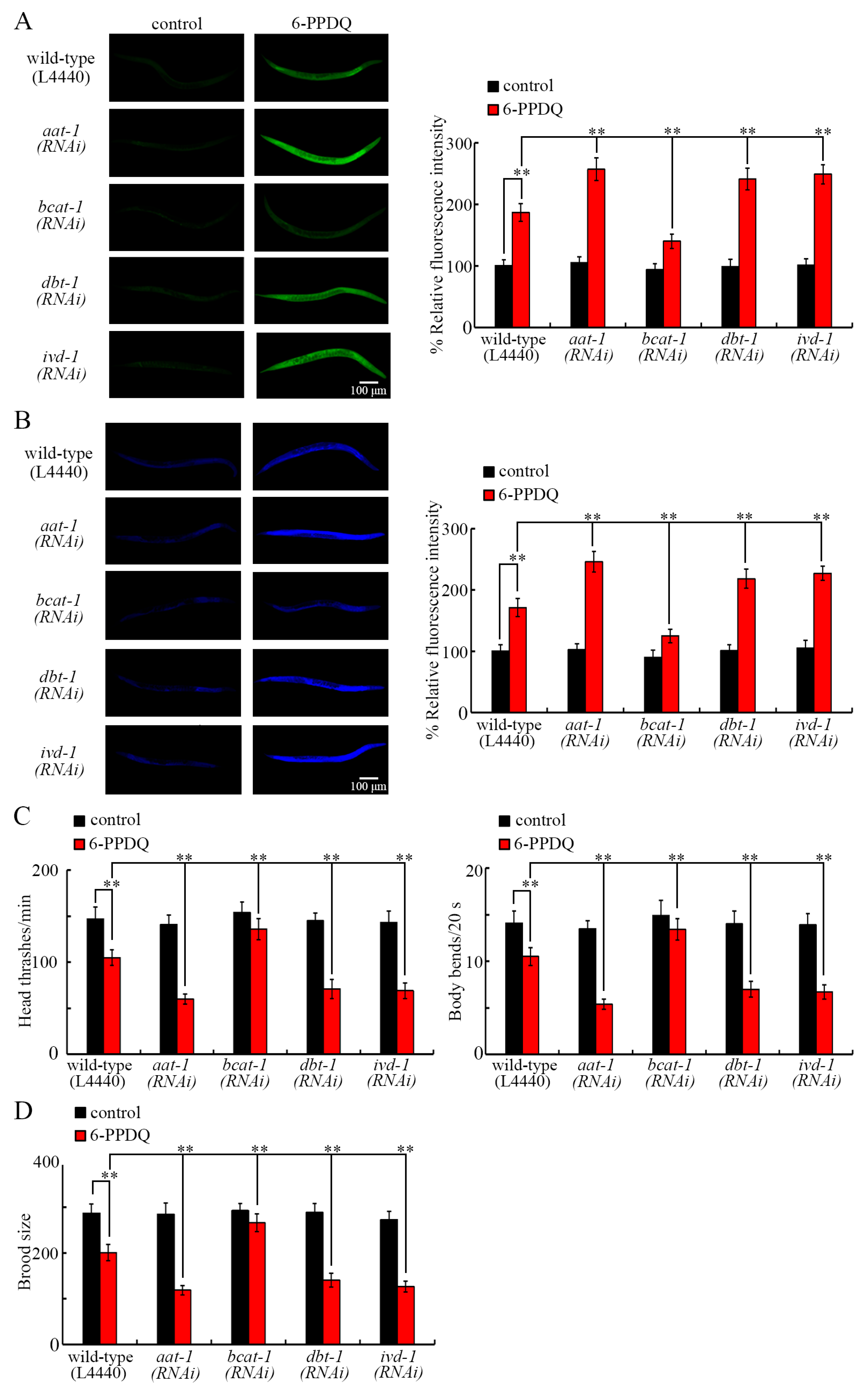 Toxics 13 00544 g005