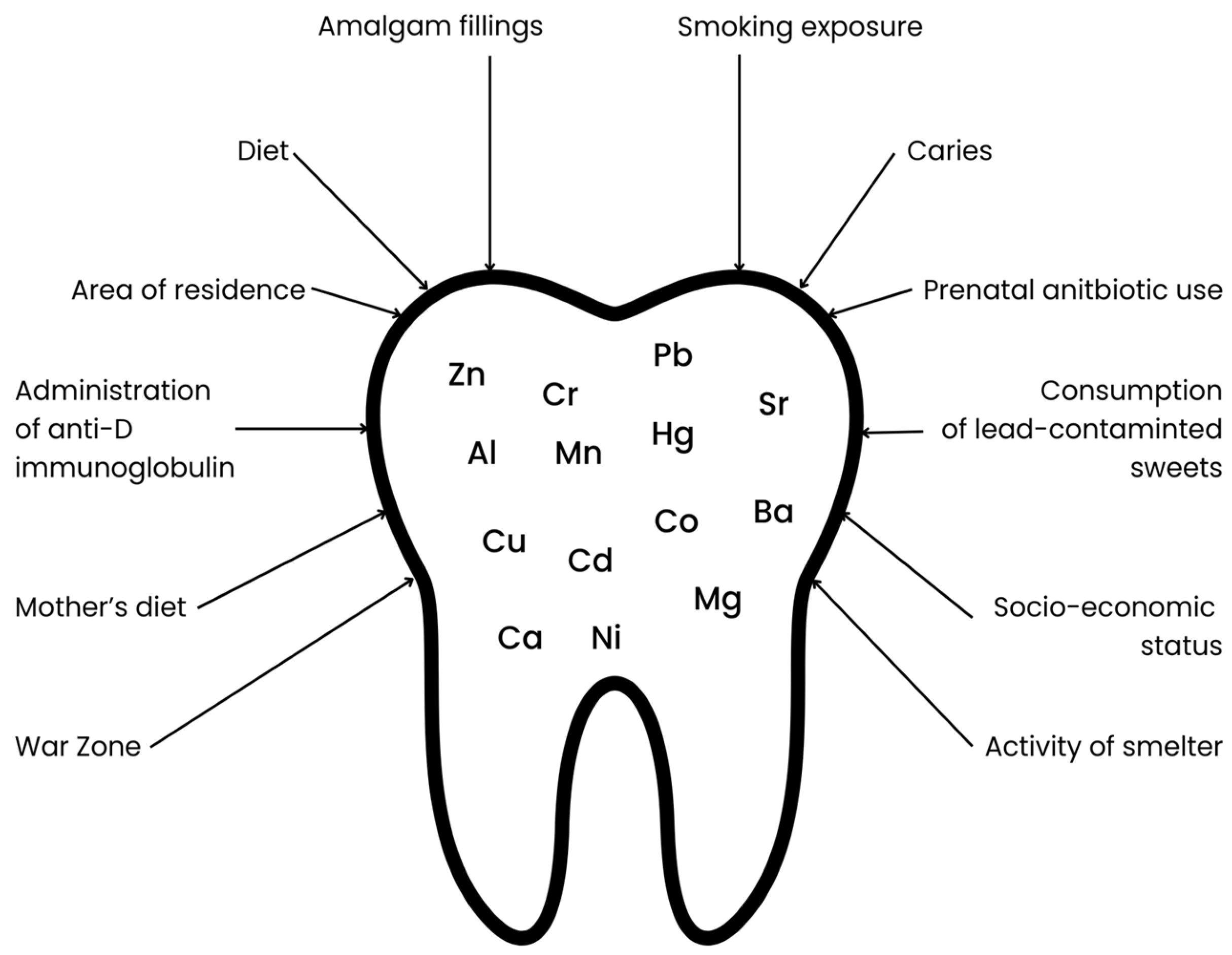 Toxics 13 00556 g001