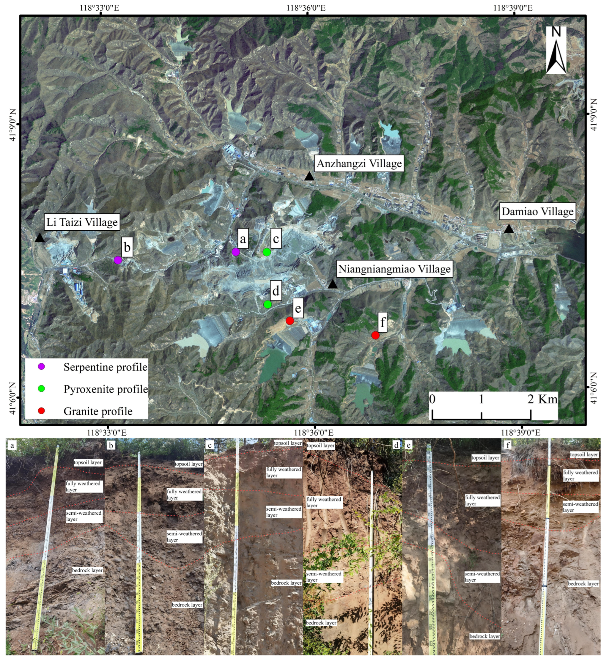 Toxics 13 00558 g002