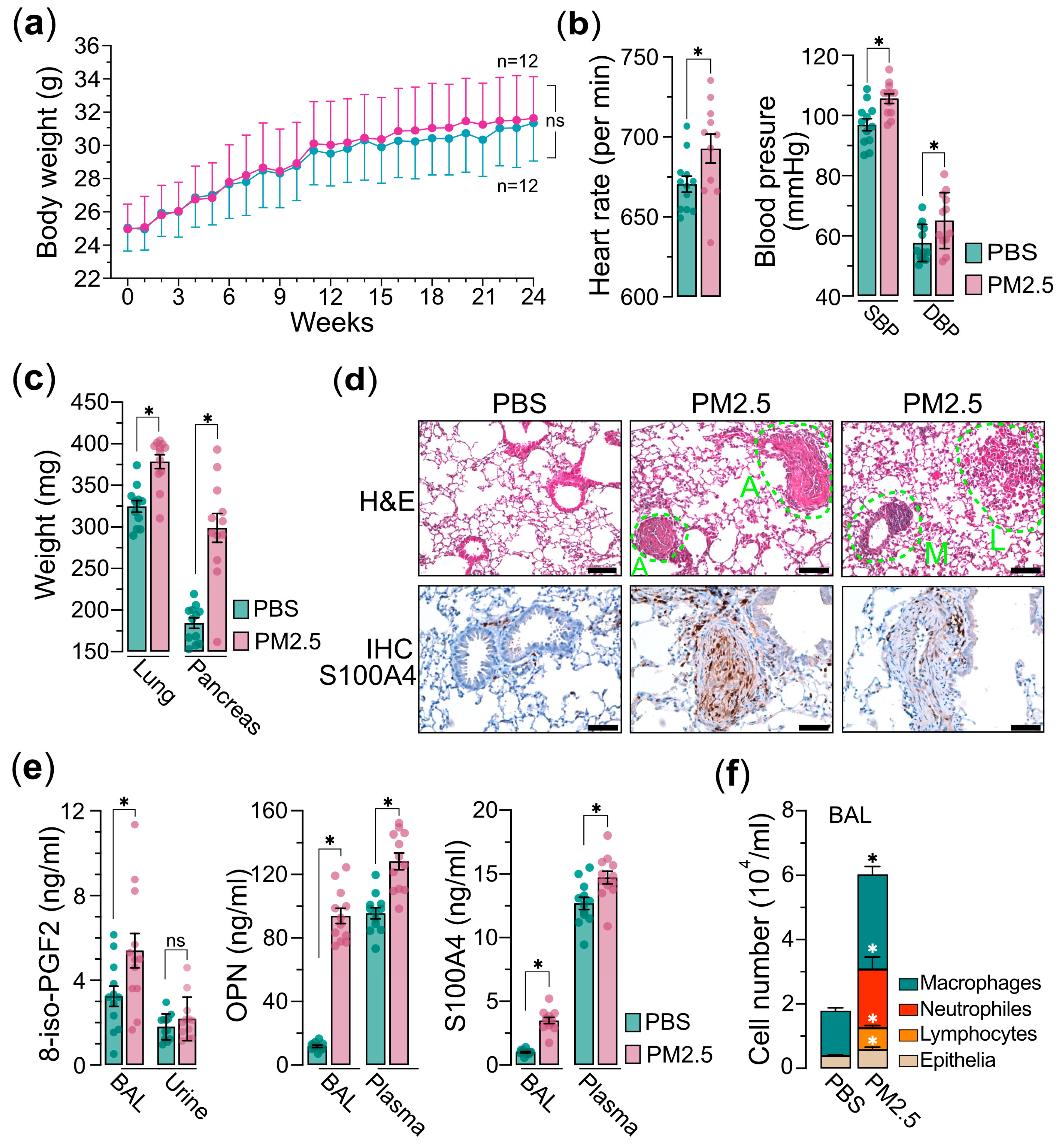Toxics 13 00562 g002