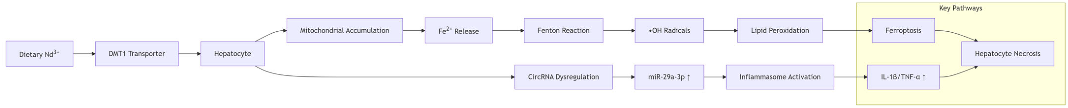 Toxics 13 00573 g001