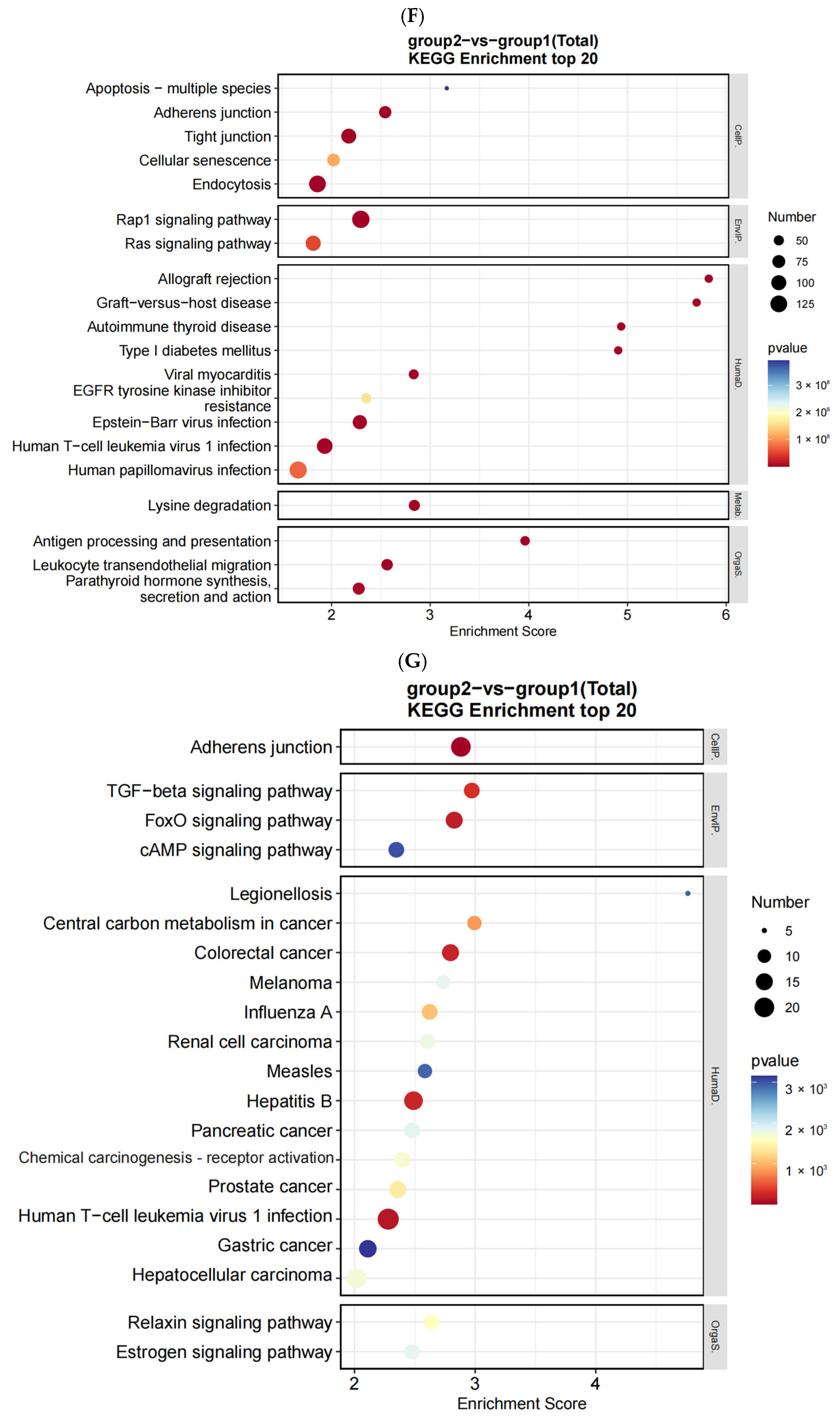 Toxics 13 00573 g004d