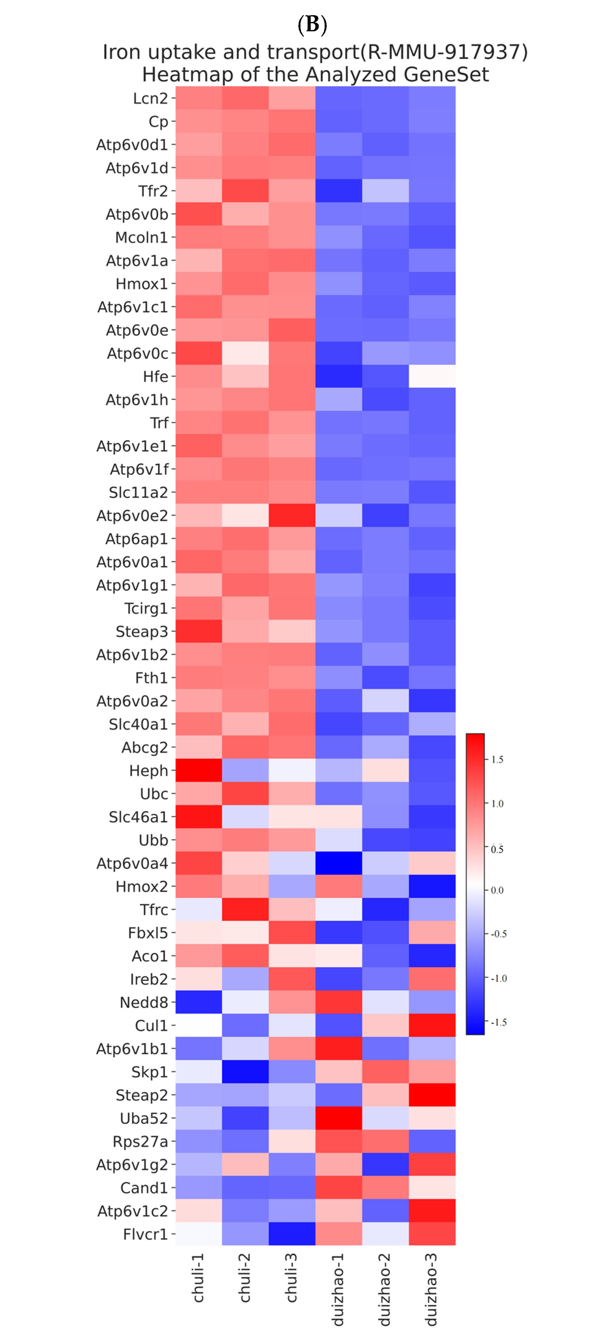 Toxics 13 00573 g006b