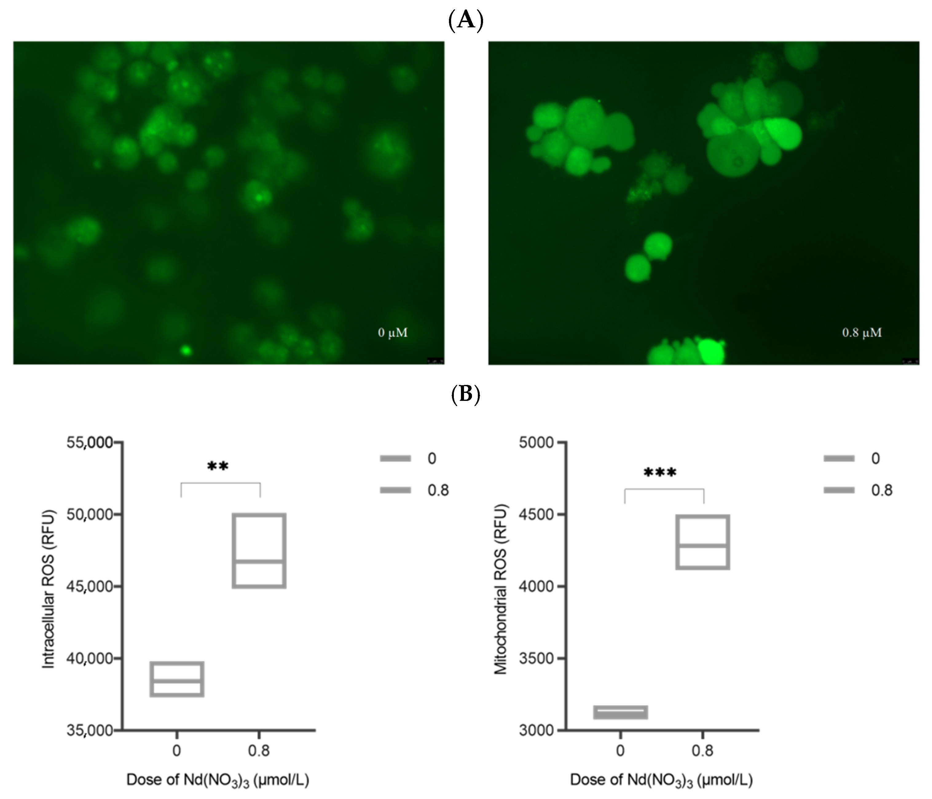 Toxics 13 00573 g007a