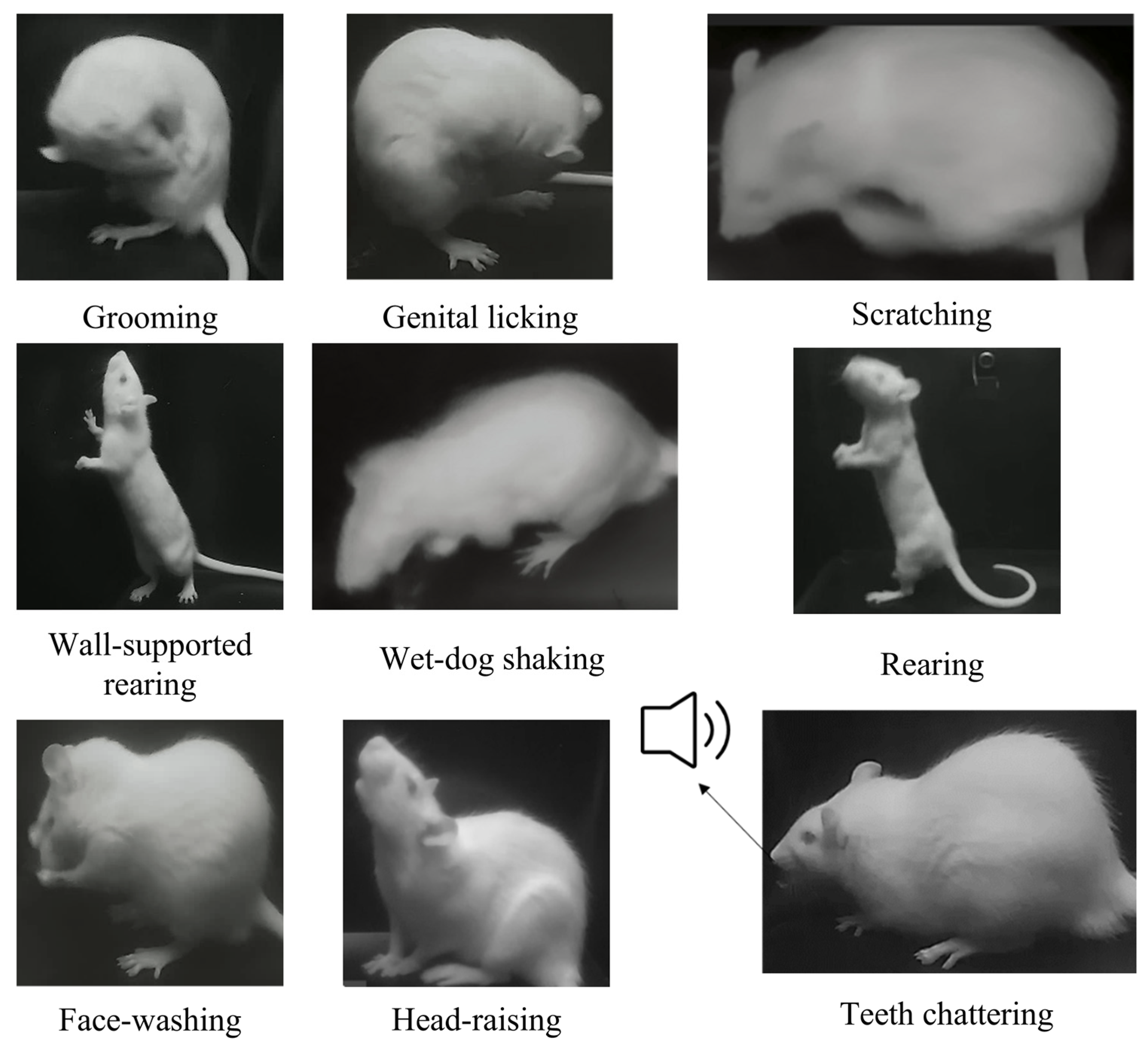 Toxics 13 00586 g002