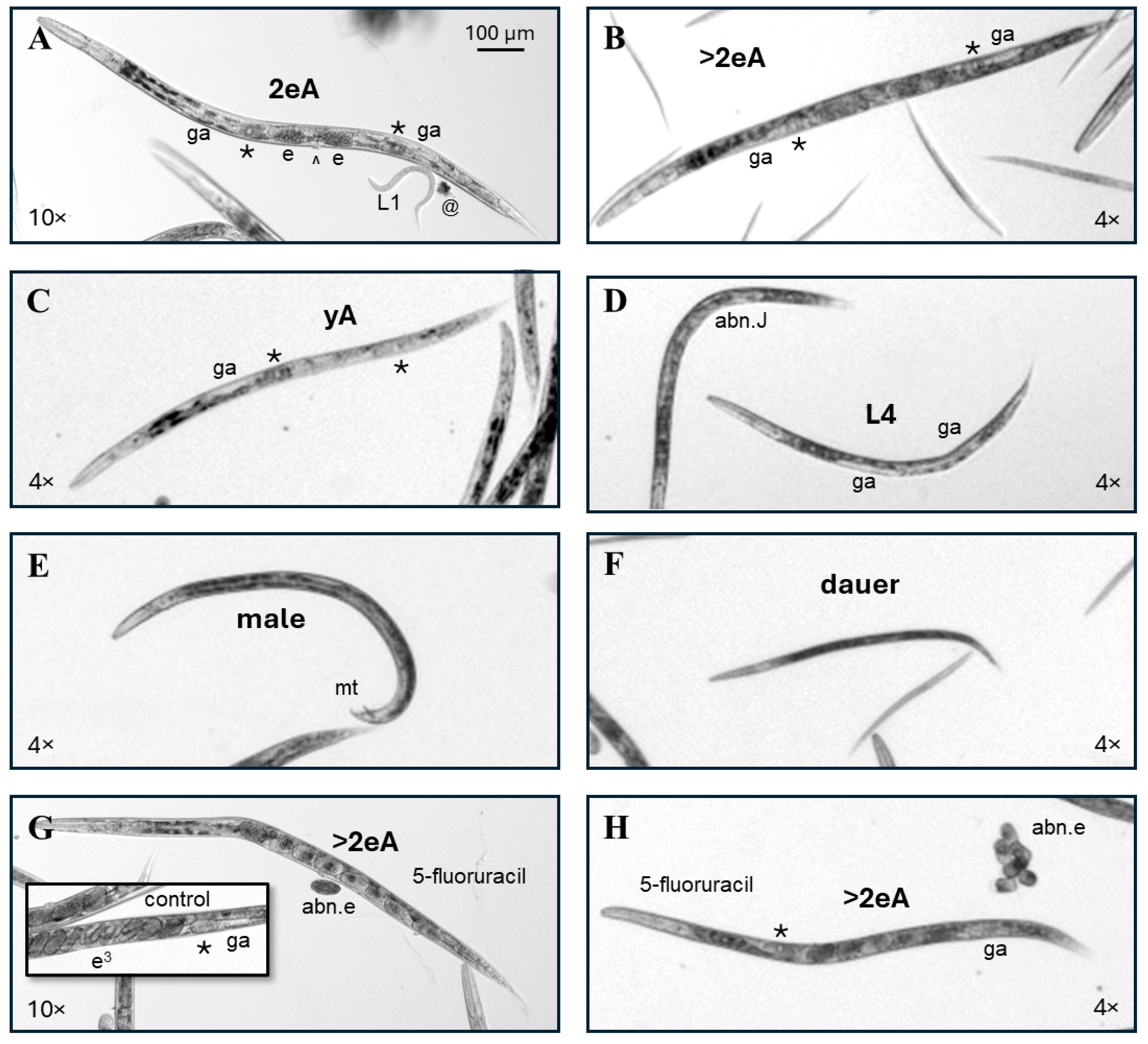 Toxics 13 00589 g002