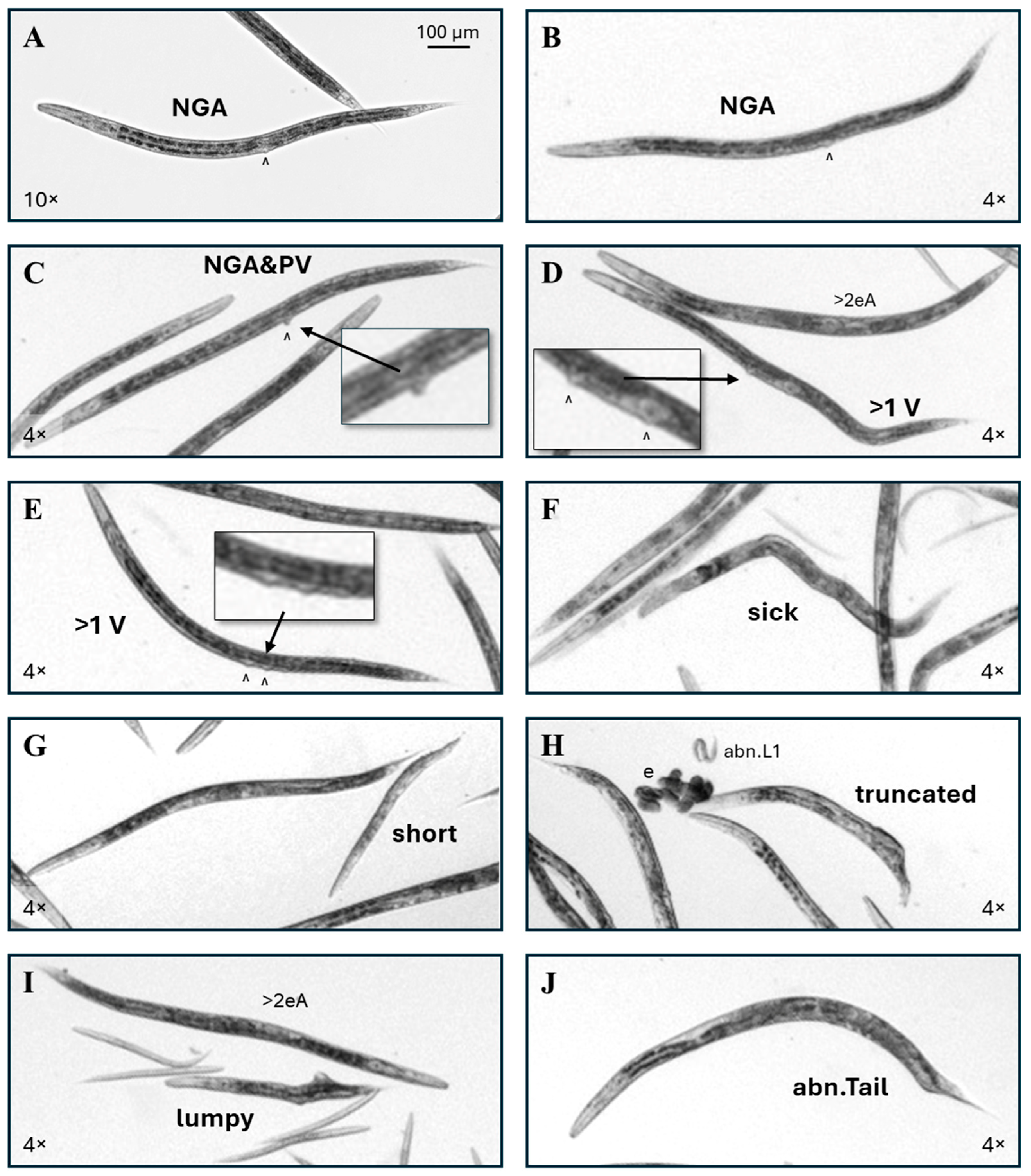 Toxics 13 00589 g004