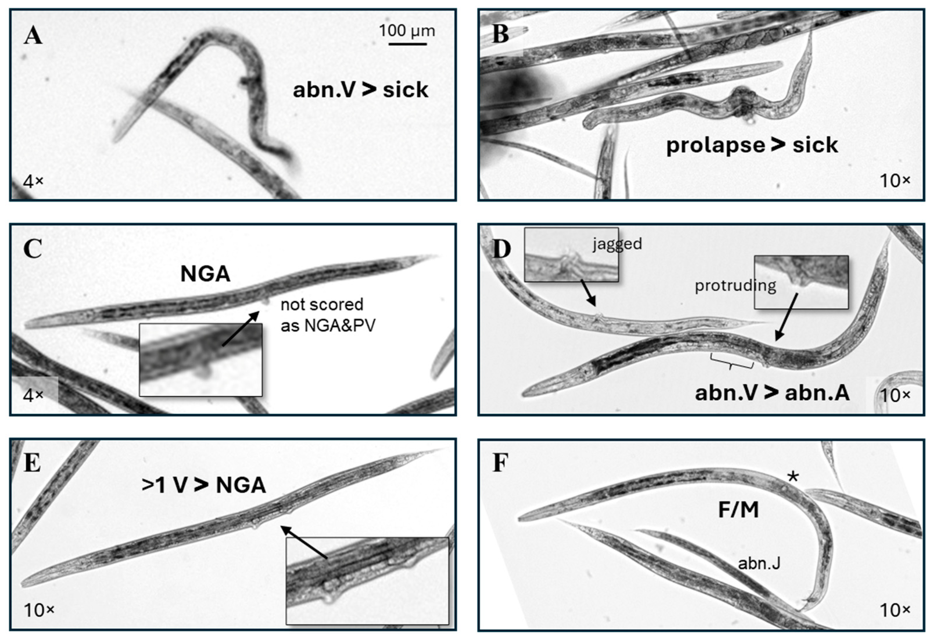 Toxics 13 00589 g005