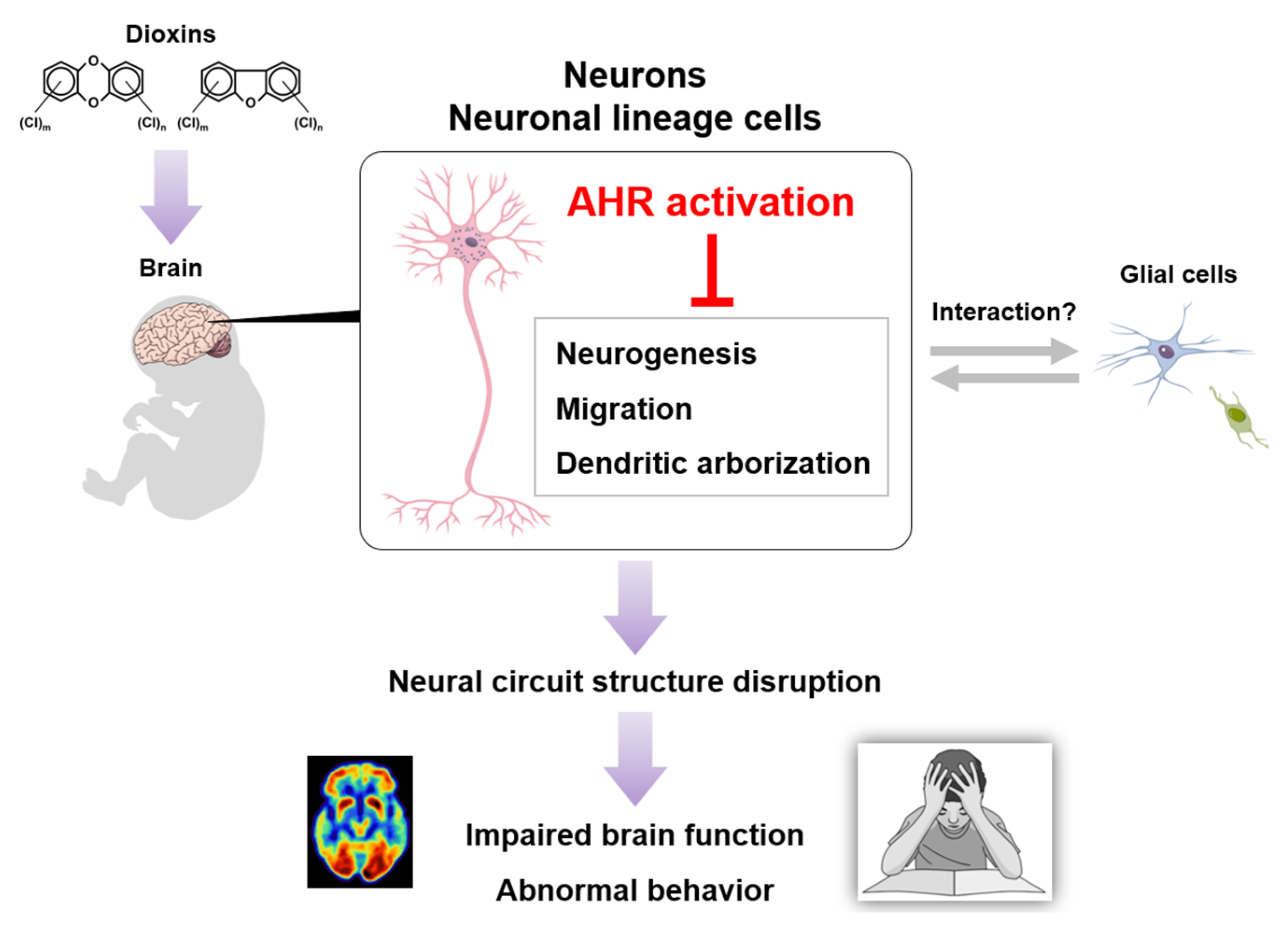 Toxics 13 00596 g003