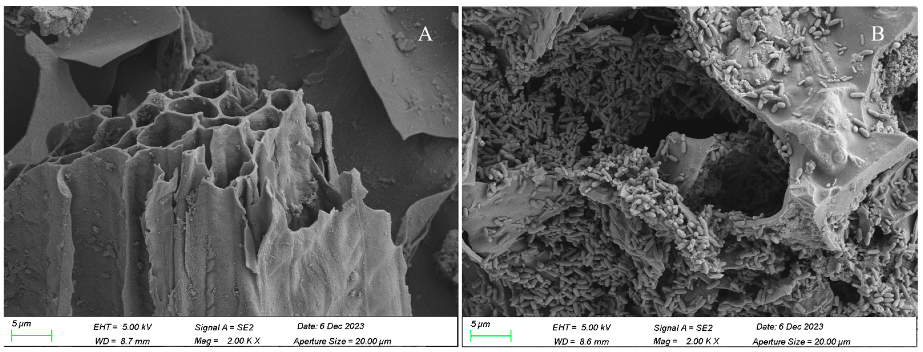 Toxics 13 00599 g003 Toxics 13 00599 g003