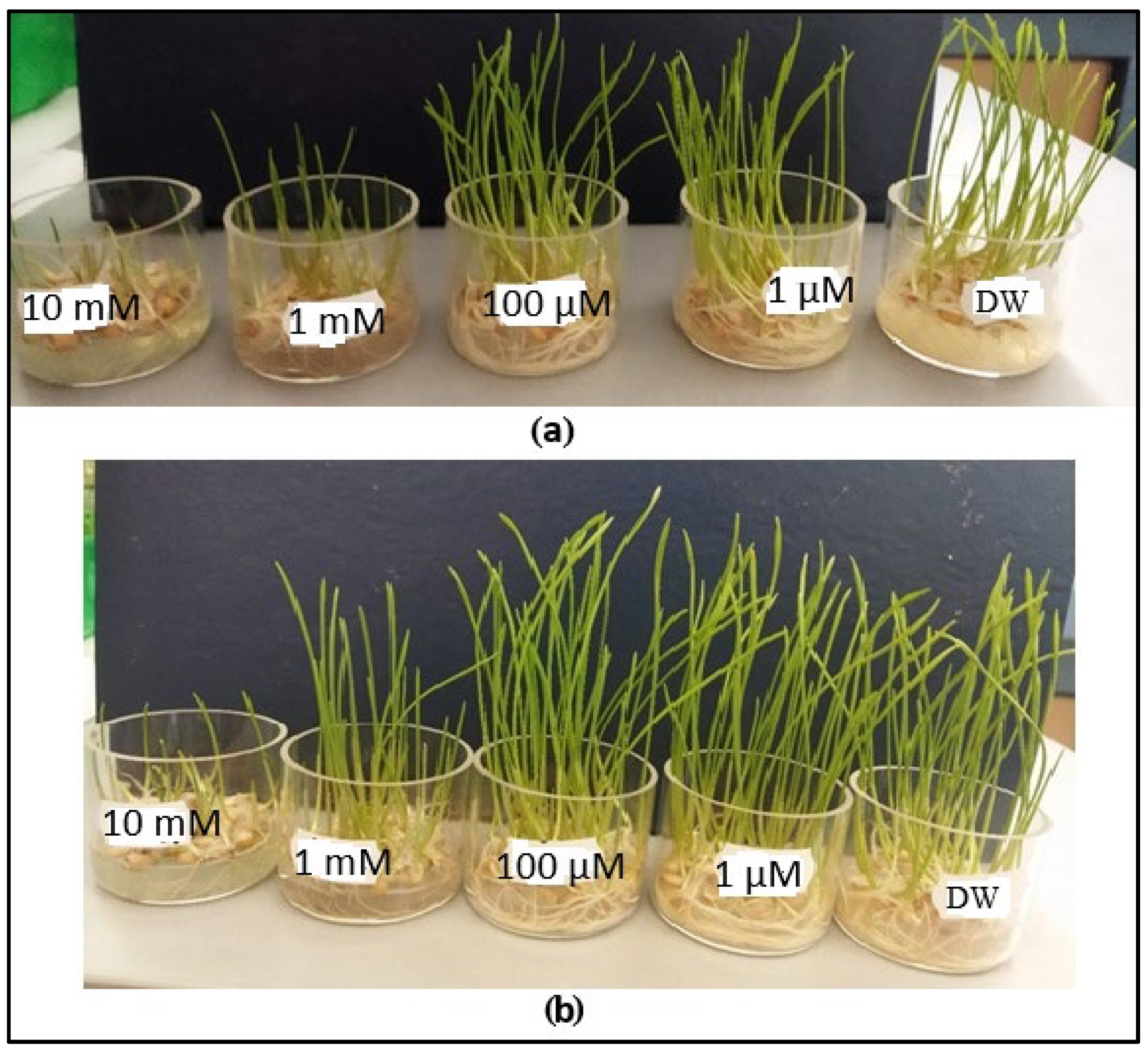 Toxics 13 00604 g009
