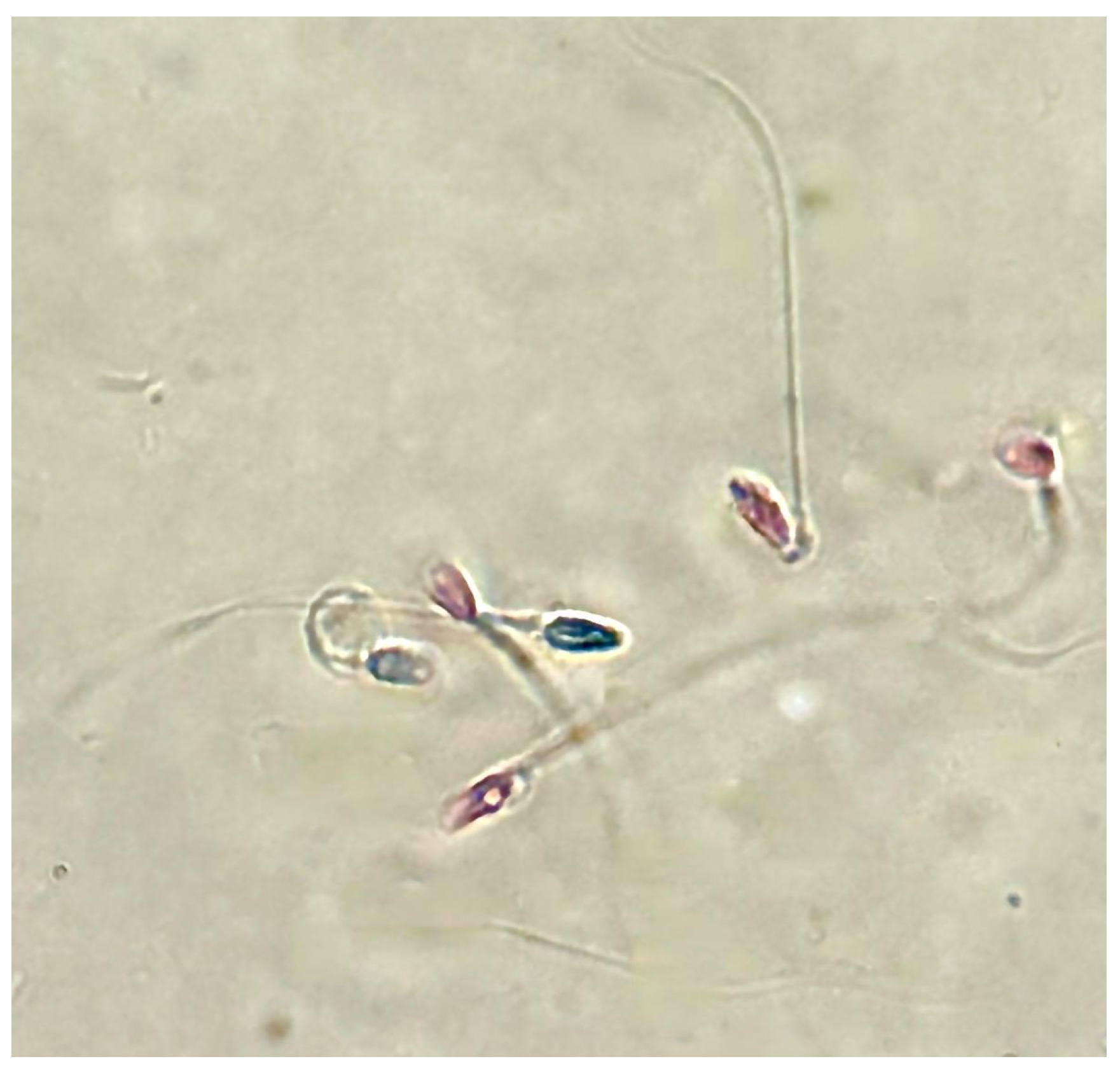 Toxics 13 00605 g002