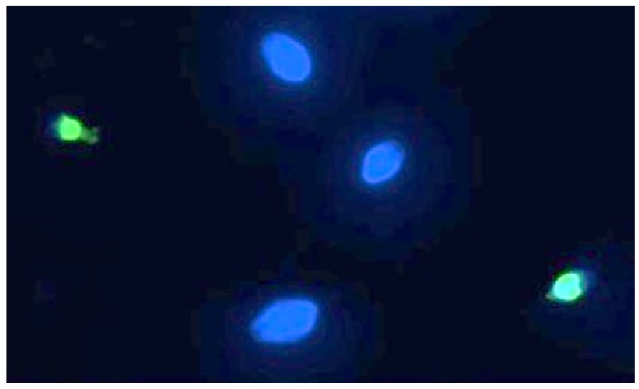 Toxics 13 00605 g005