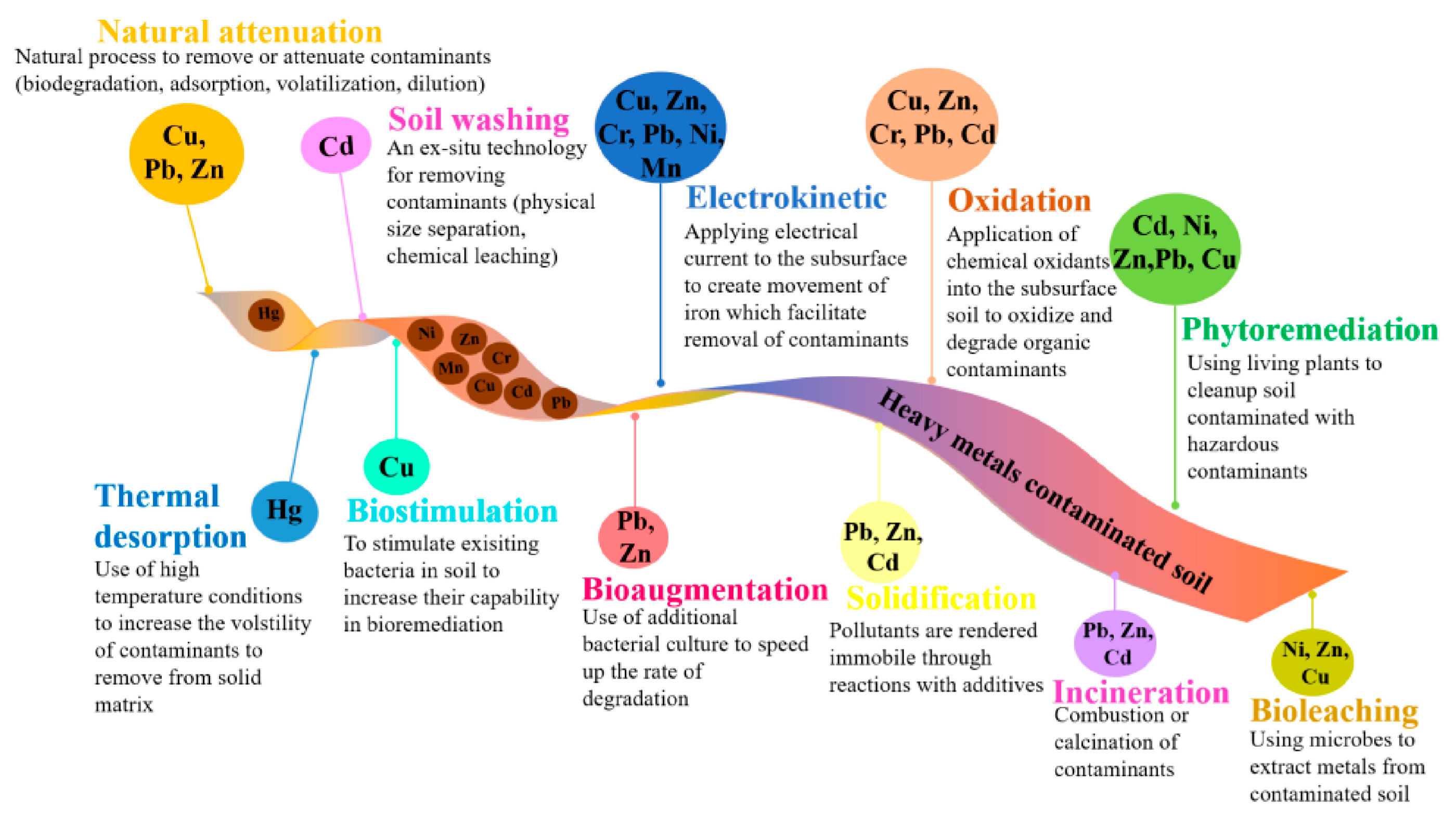 Toxics 13 00608 g001
