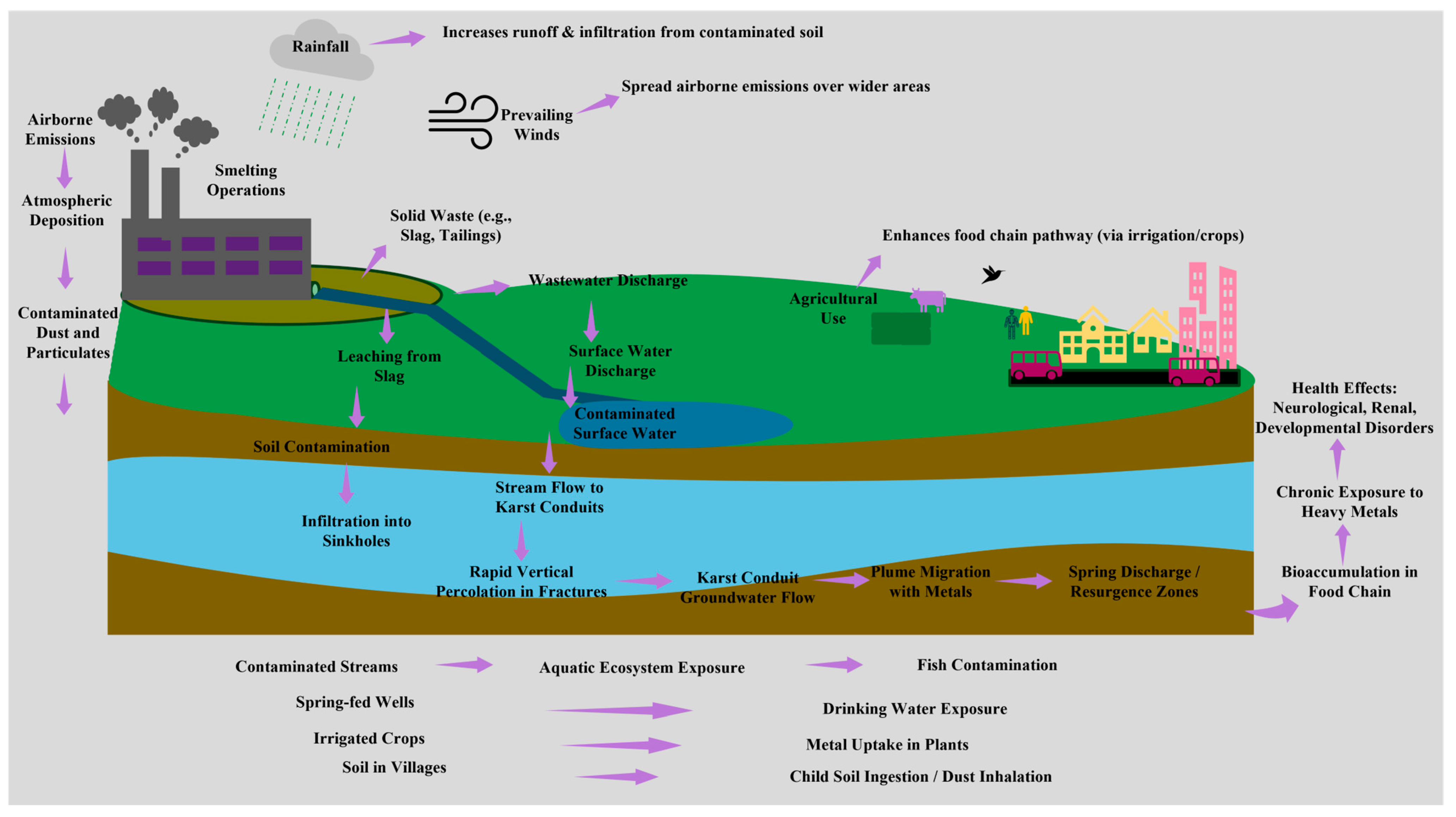 Toxics 13 00608 g003