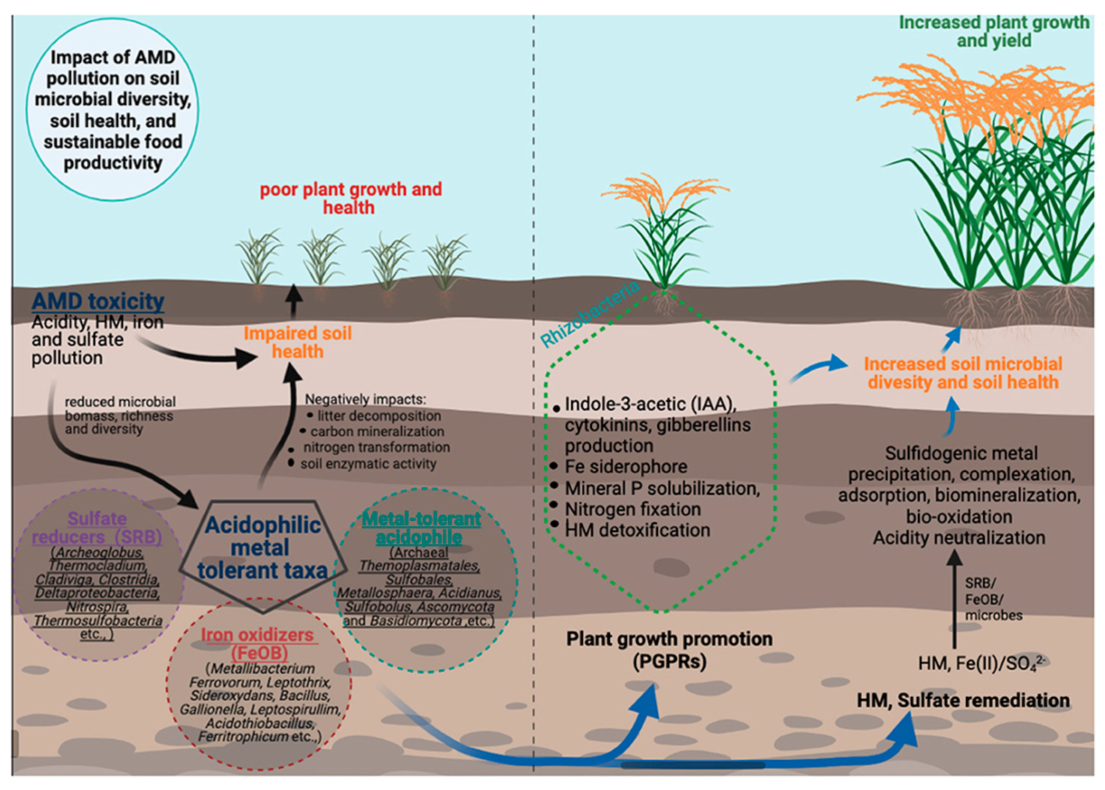 Toxics 13 00608 g007