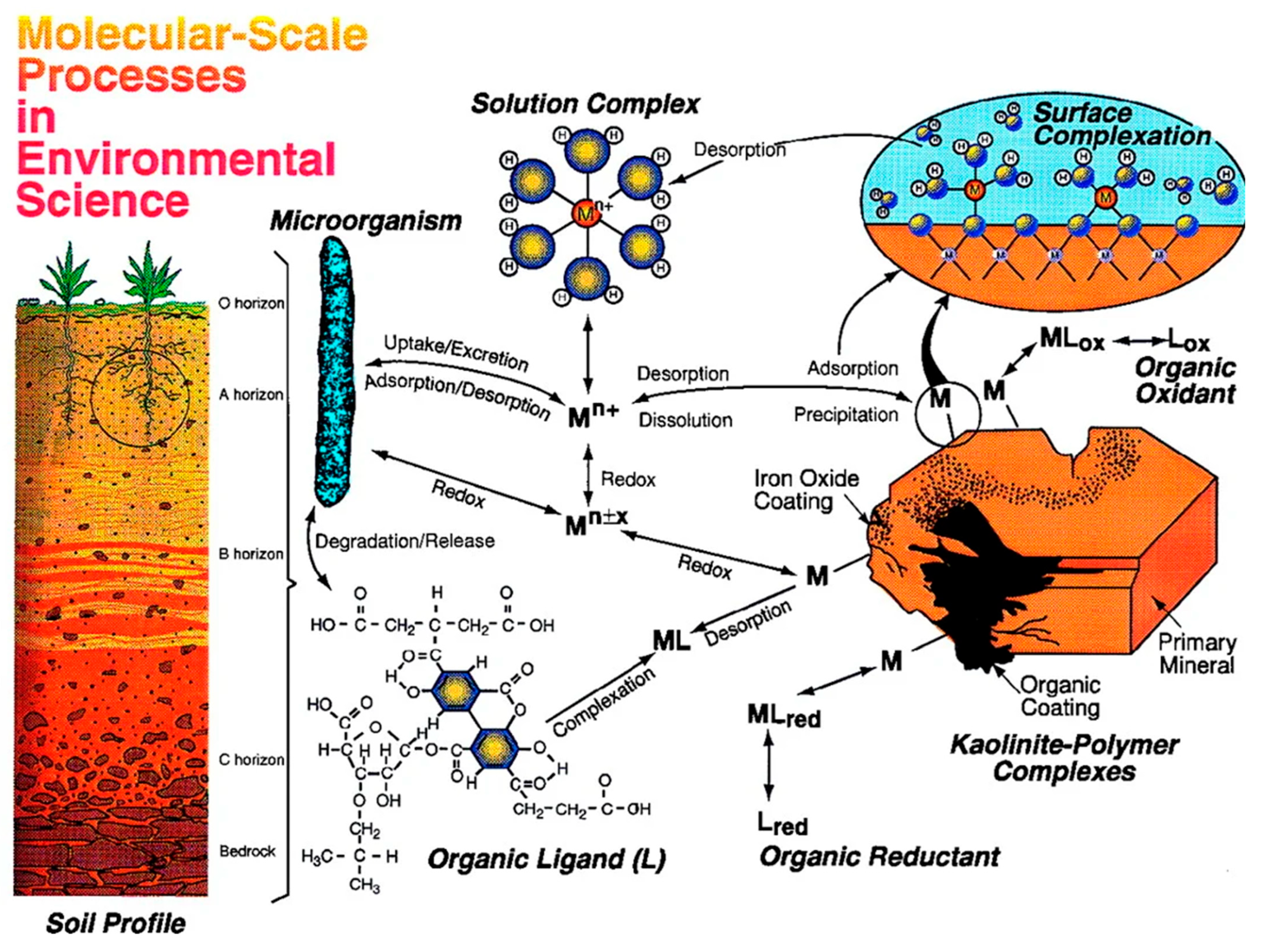 Toxics 13 00608 g008
