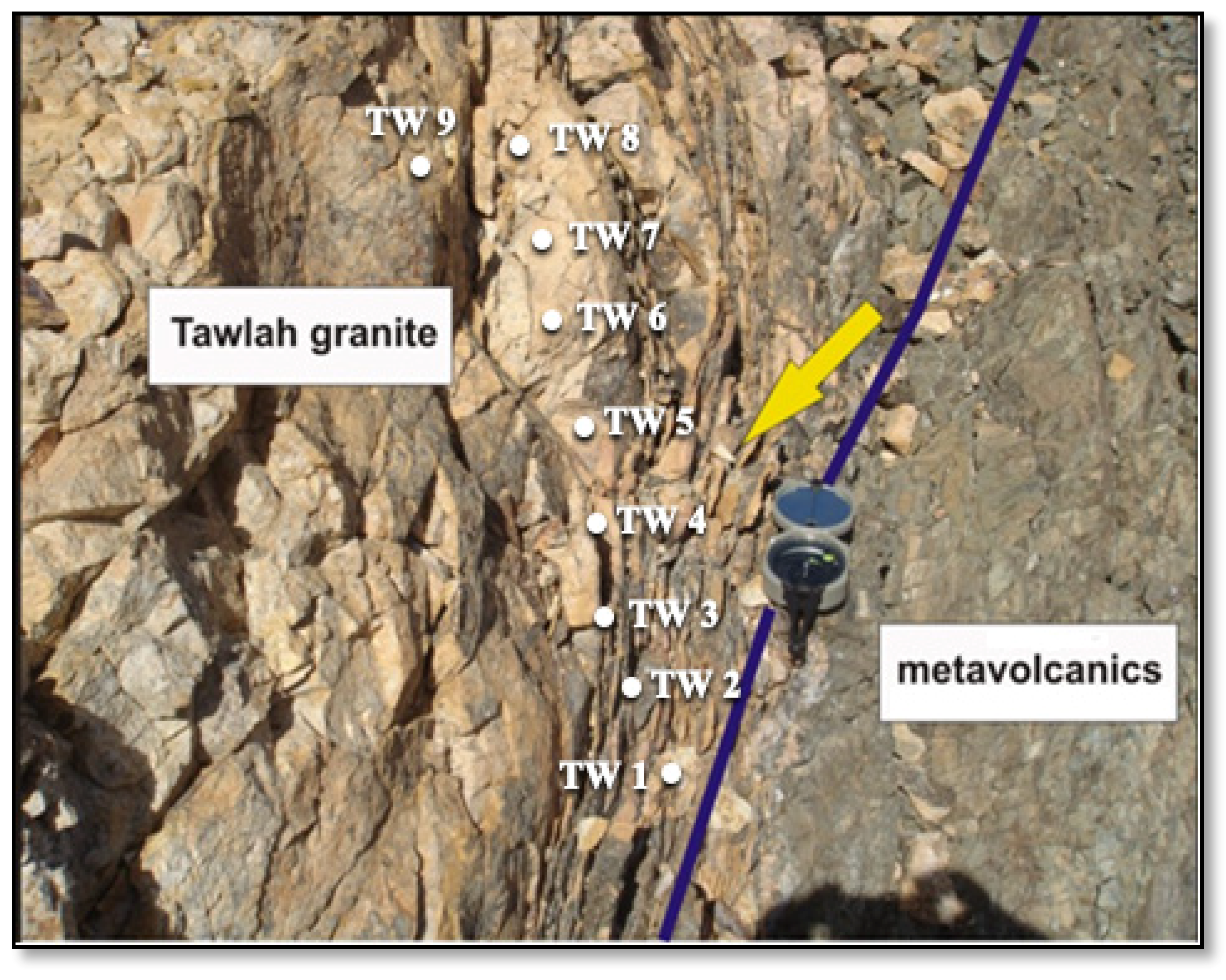 Toxics 13 00612 g002