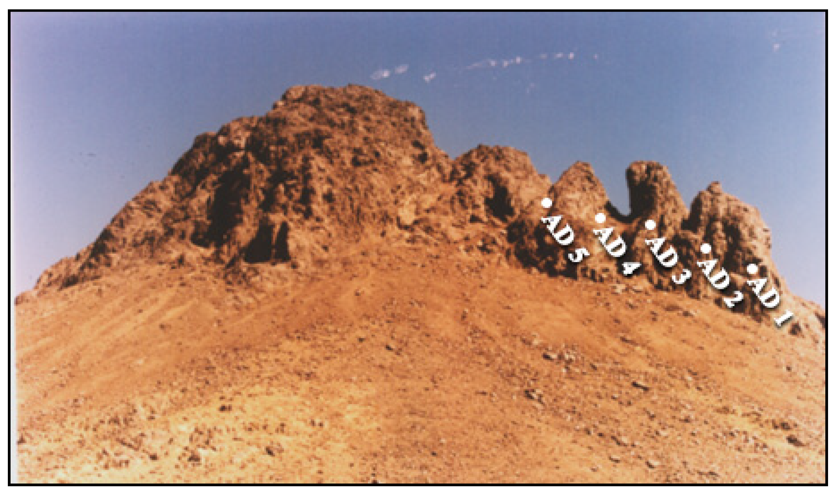 Toxics 13 00612 g004