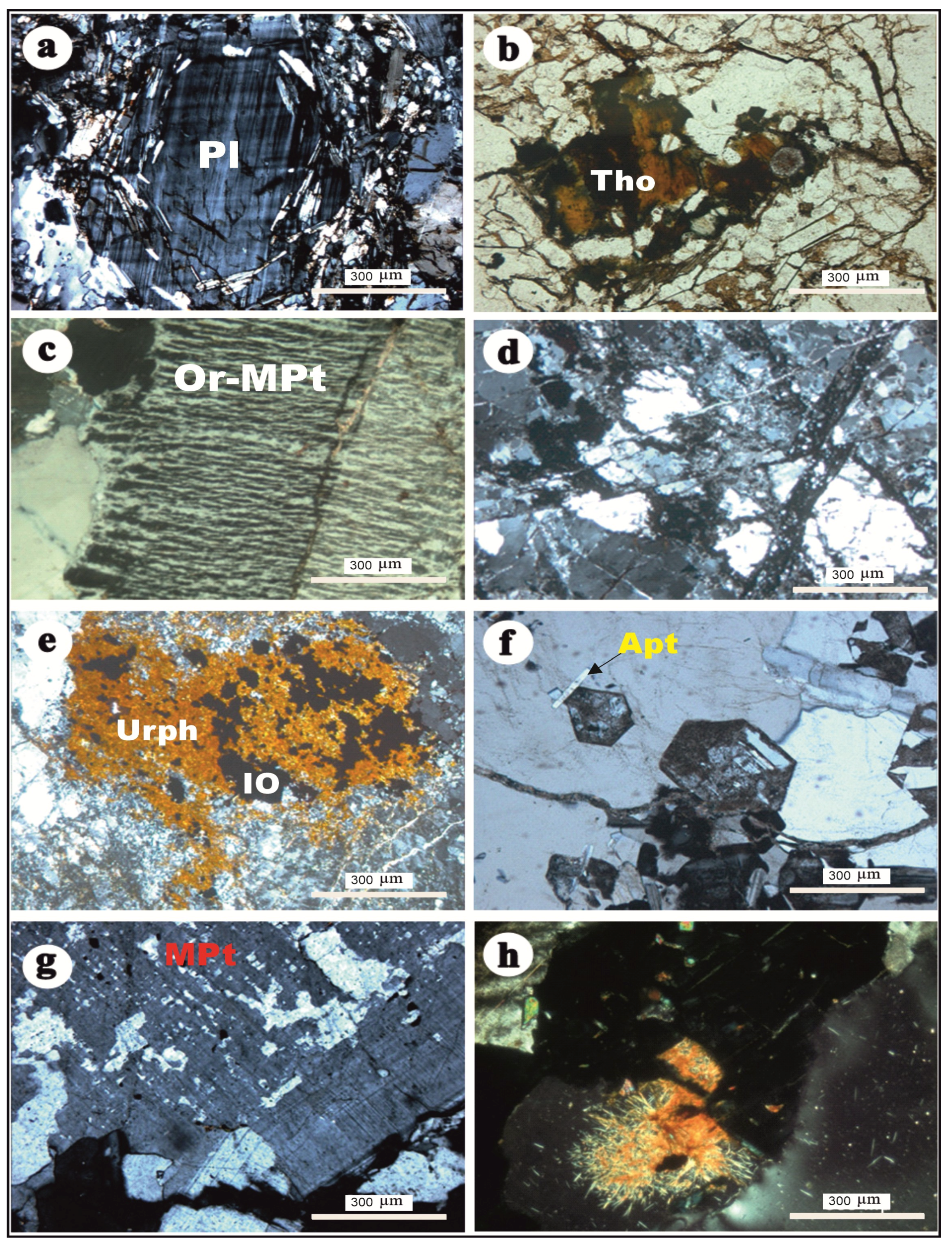 Toxics 13 00612 g006