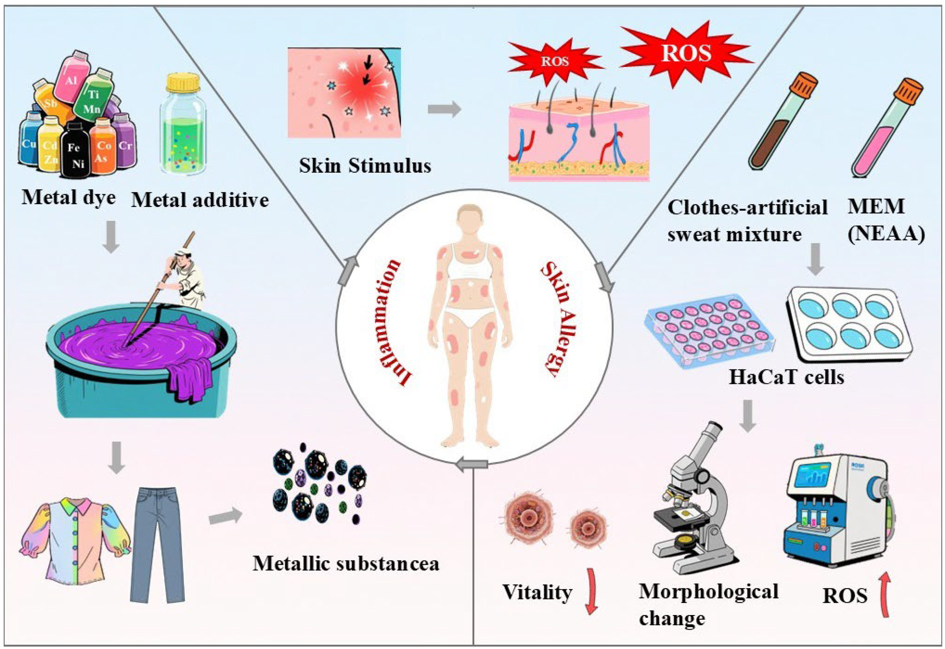 Toxics 13 00622 g001 Toxics 13 00622 g001