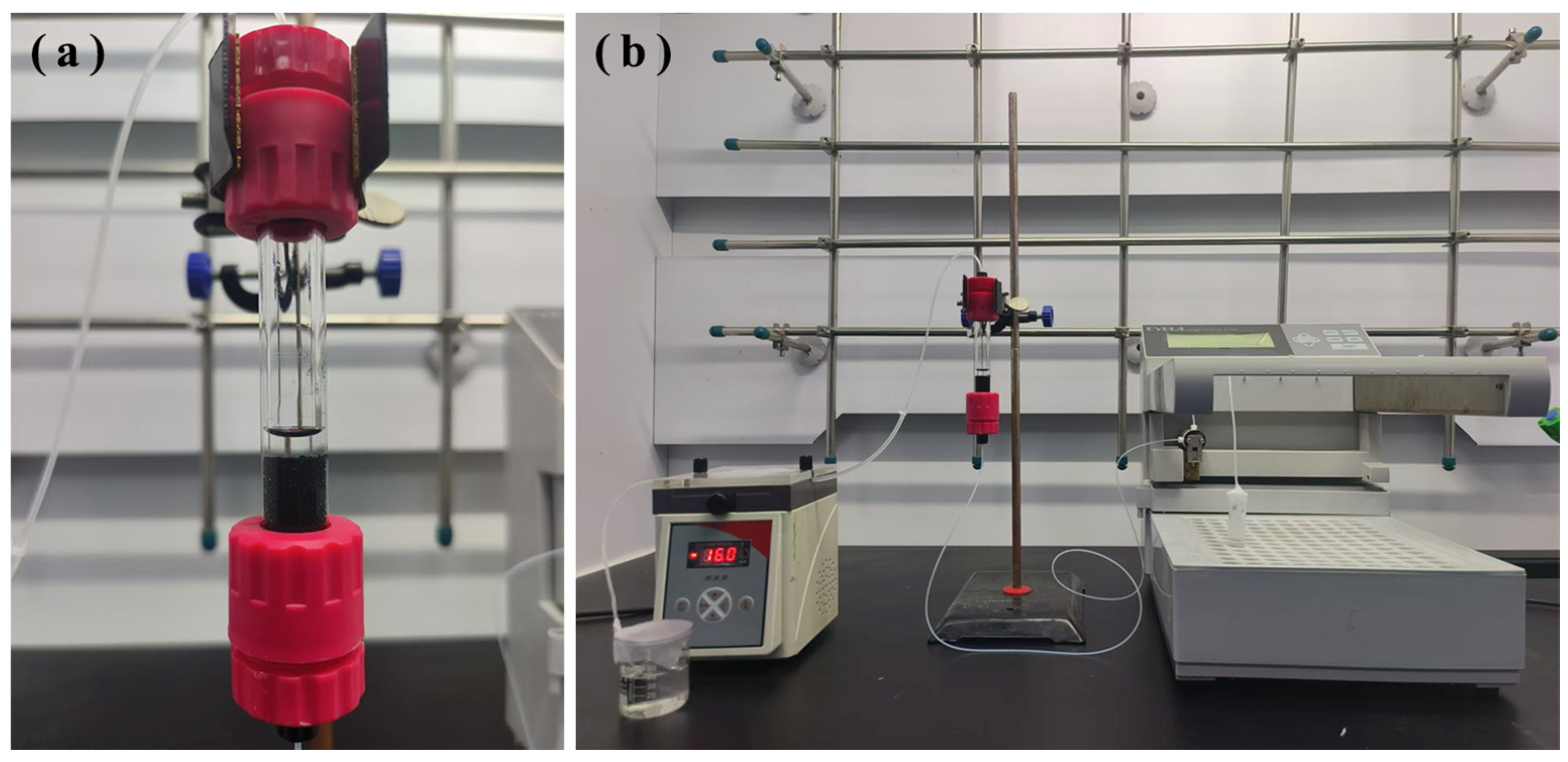 Toxics 13 00624 g001