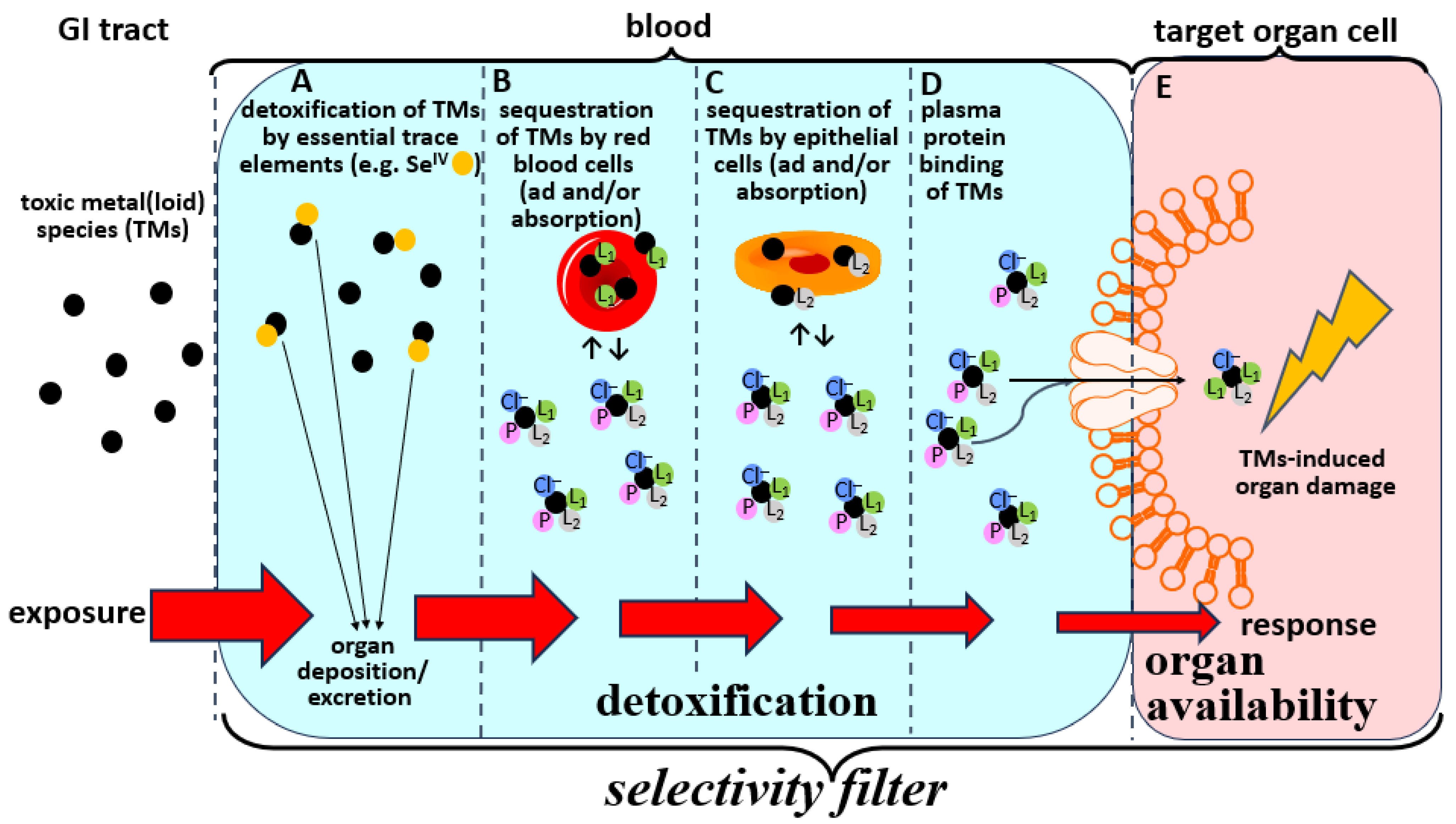 Toxics 13 00636 g002