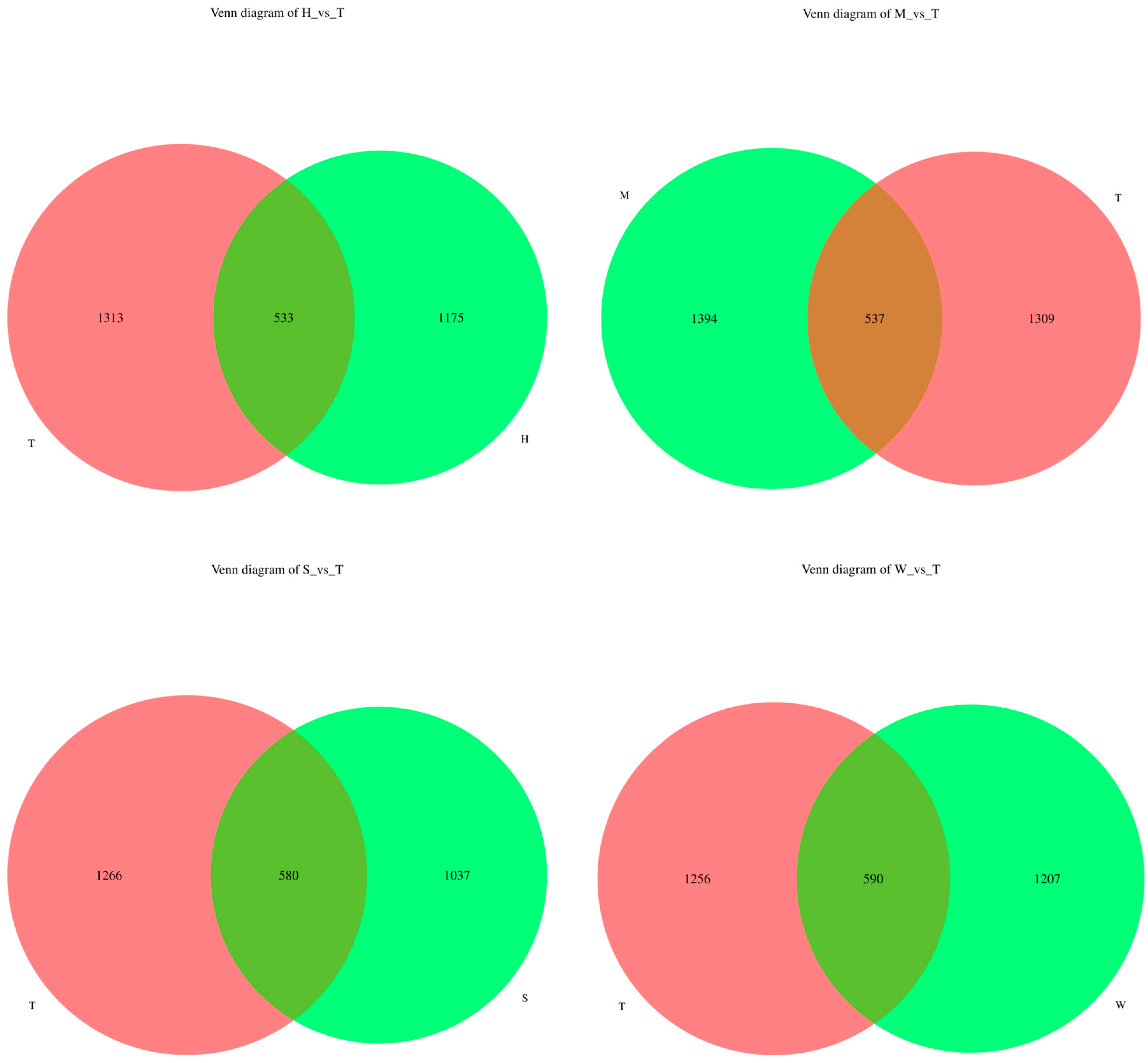 Toxics 13 00640 g001