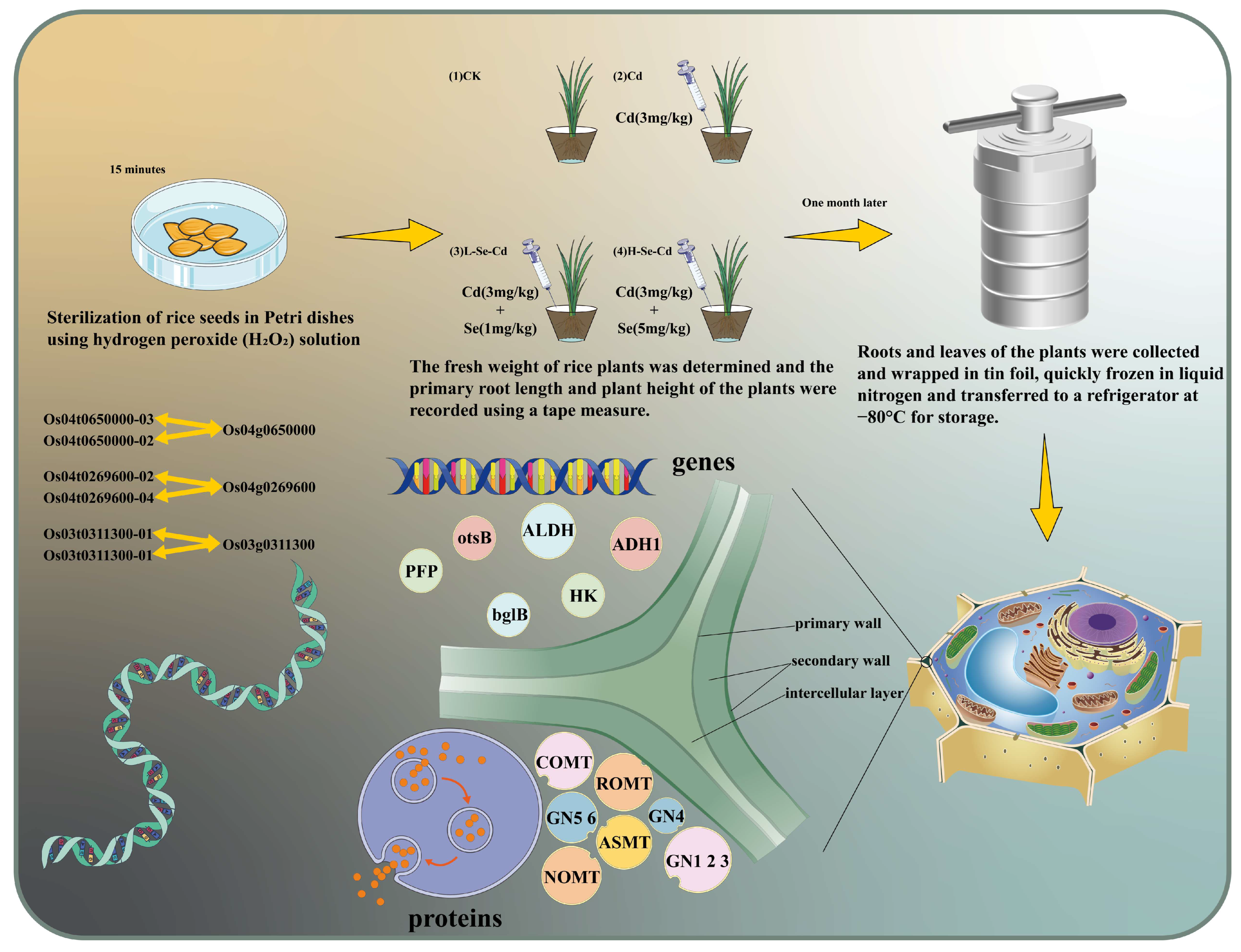 Toxics 13 00642 g001