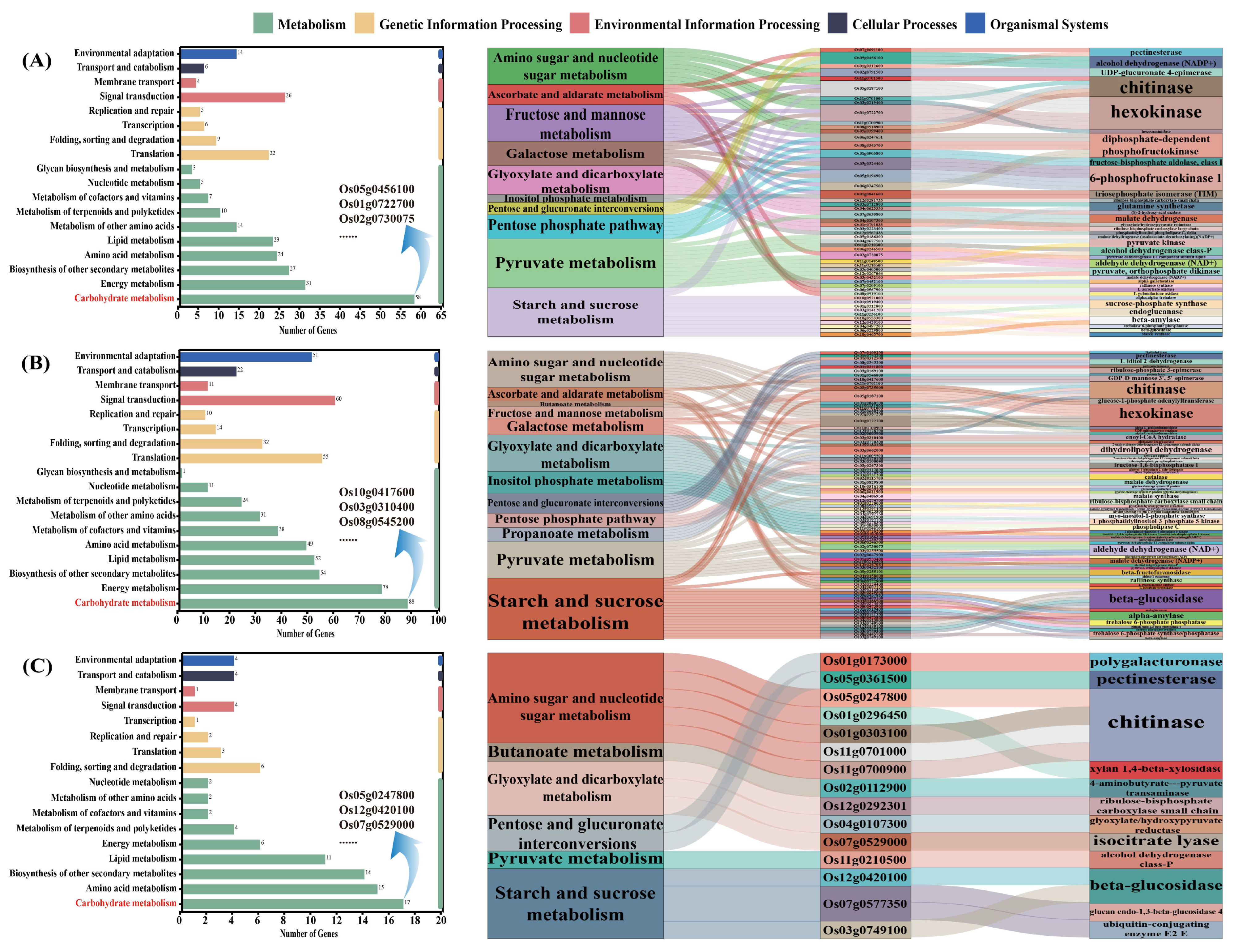 Toxics 13 00642 g005