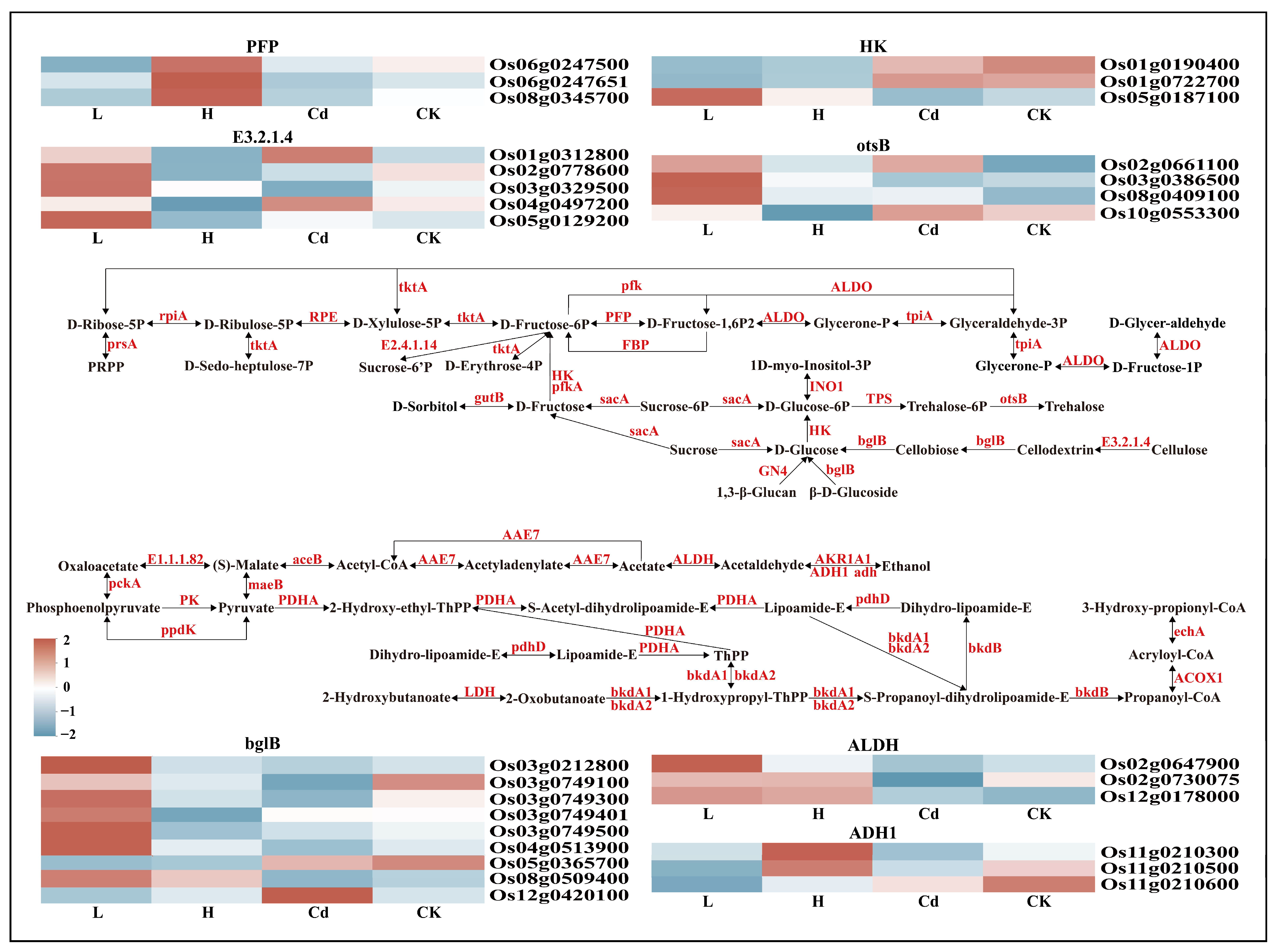 Toxics 13 00642 g006