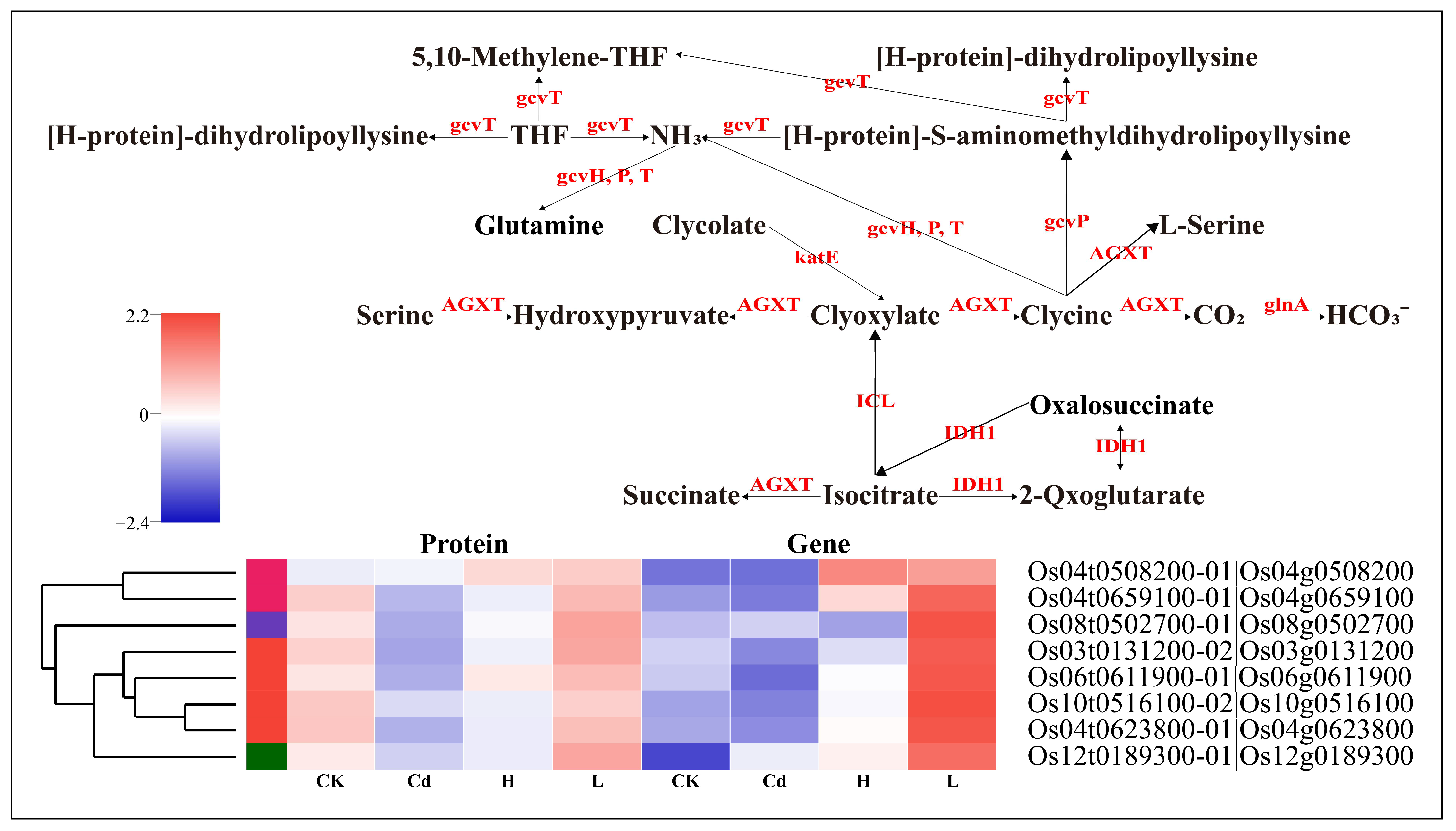 Toxics 13 00642 g008
