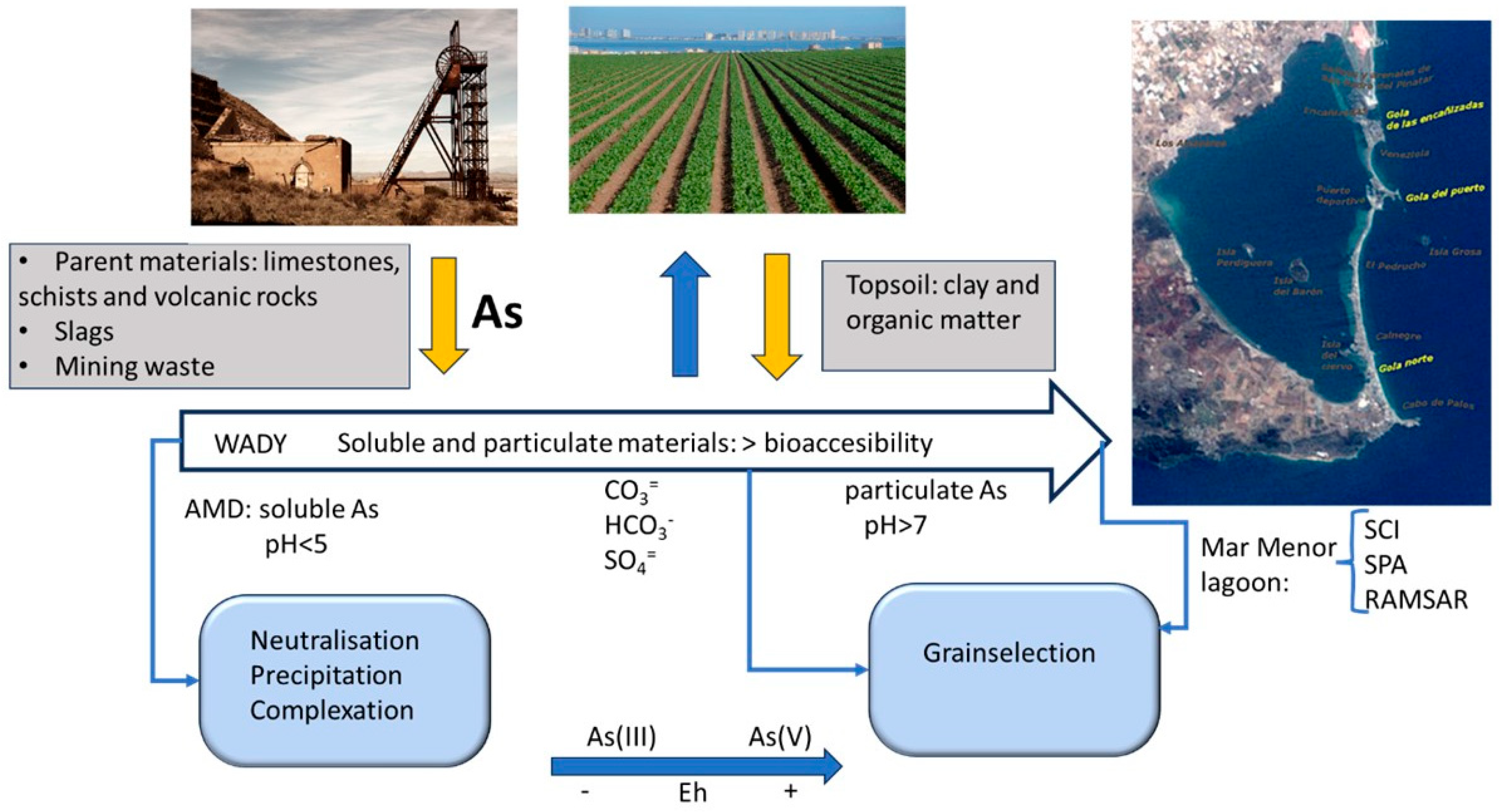 Toxics 13 00647 g007 Toxics 13 00647 g007