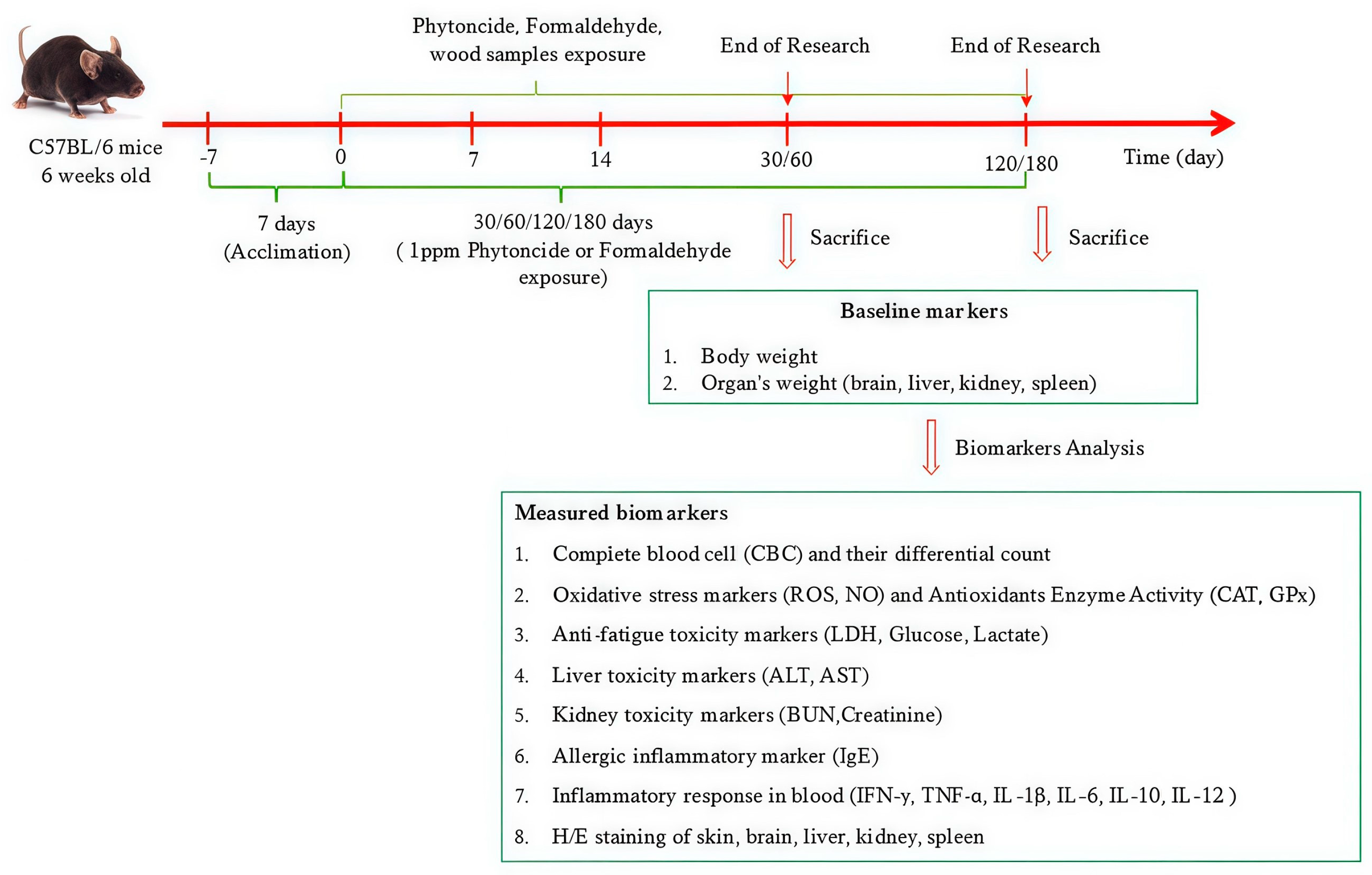 Toxics 13 00650 g001