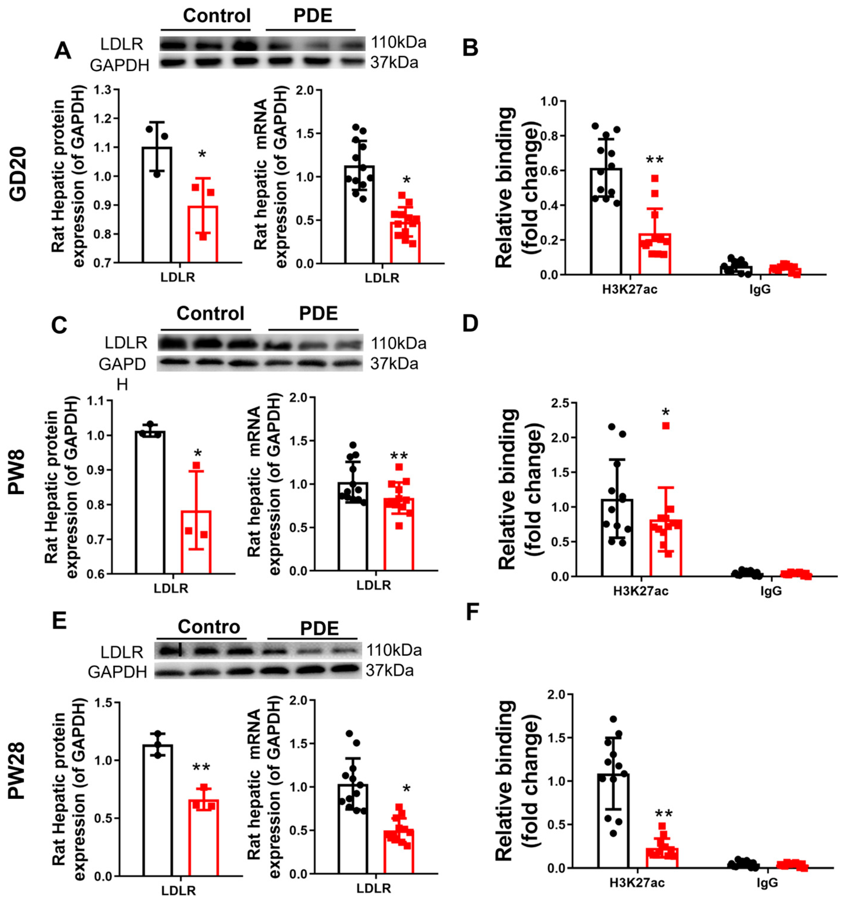 Toxics 13 00651 g002
