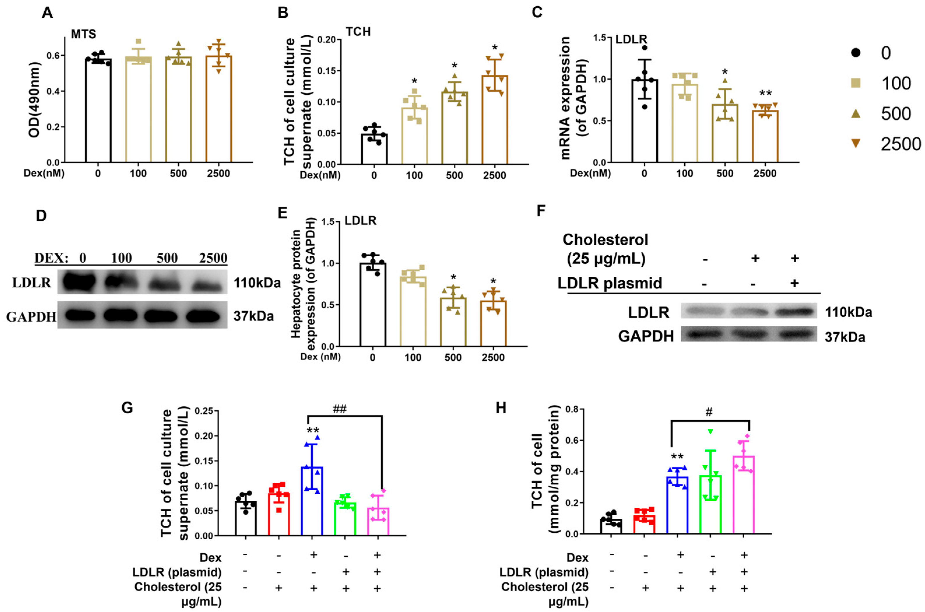 Toxics 13 00651 g004