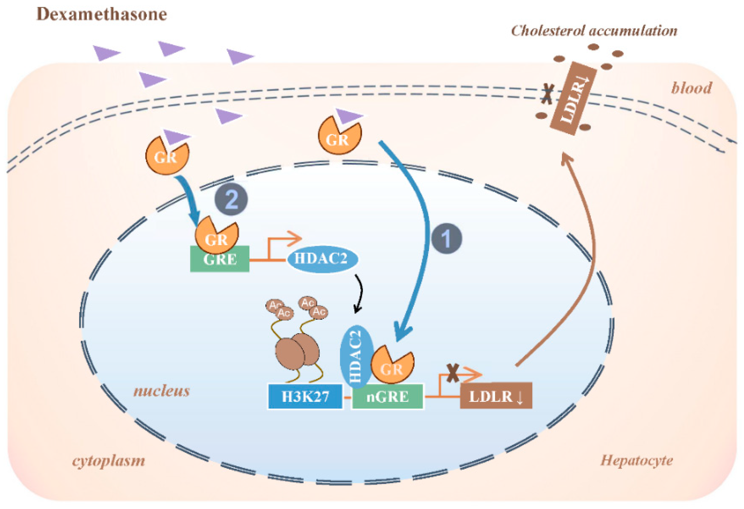 Toxics 13 00651 g008