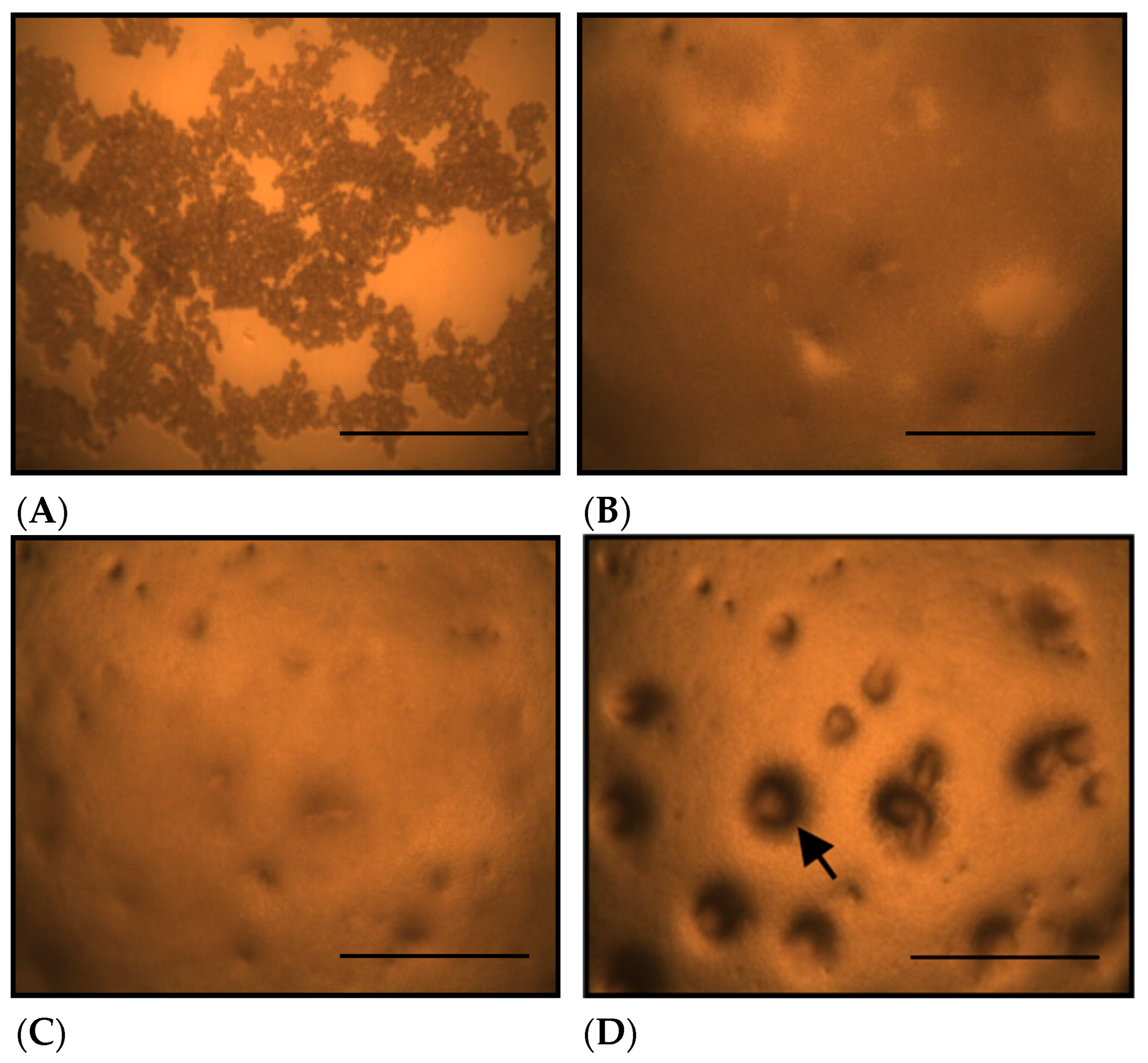 Toxics 13 00665 g002
