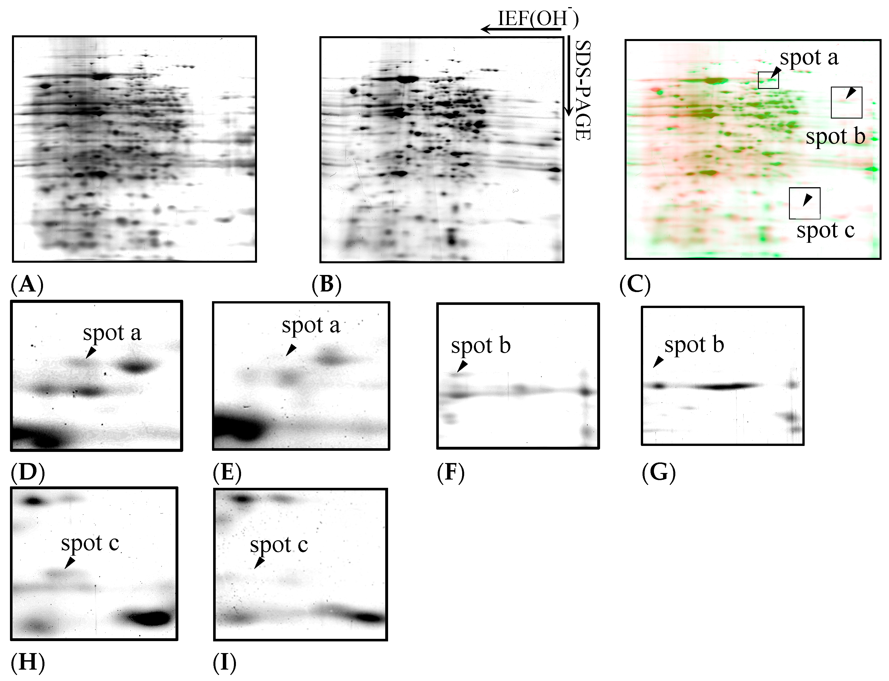 Toxics 13 00665 g005