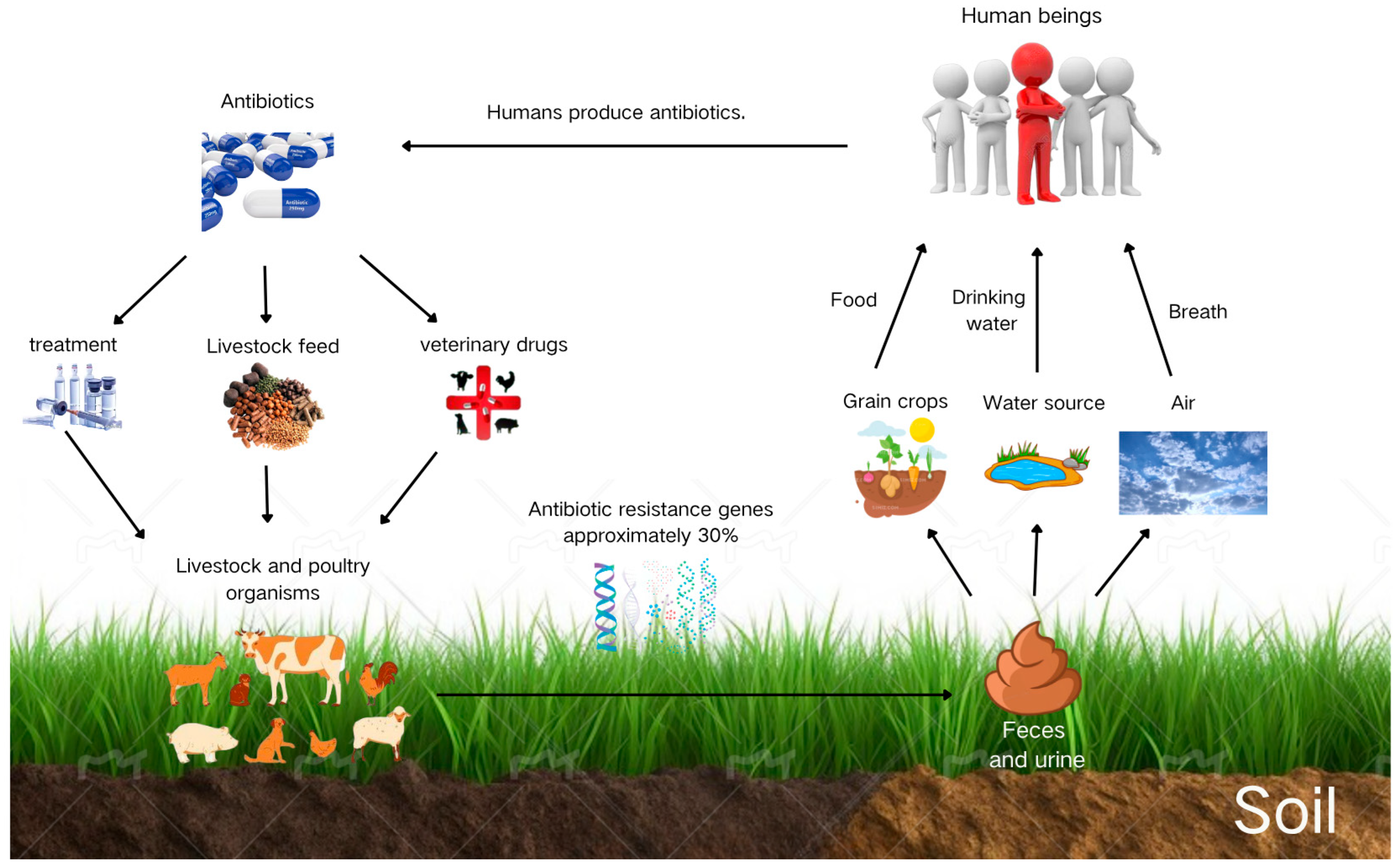 Toxics 13 00667 g001