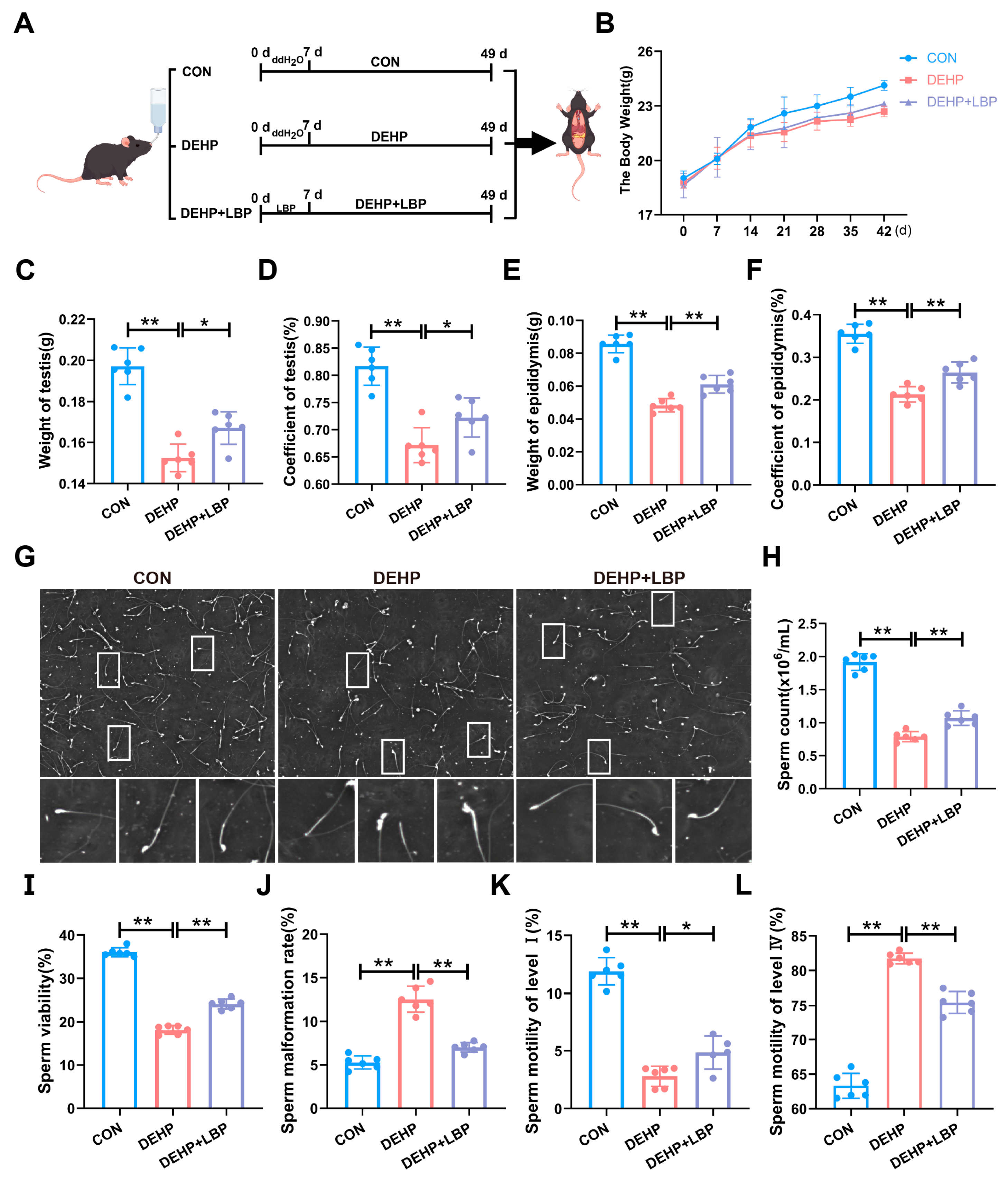 Toxics 13 00677 g001