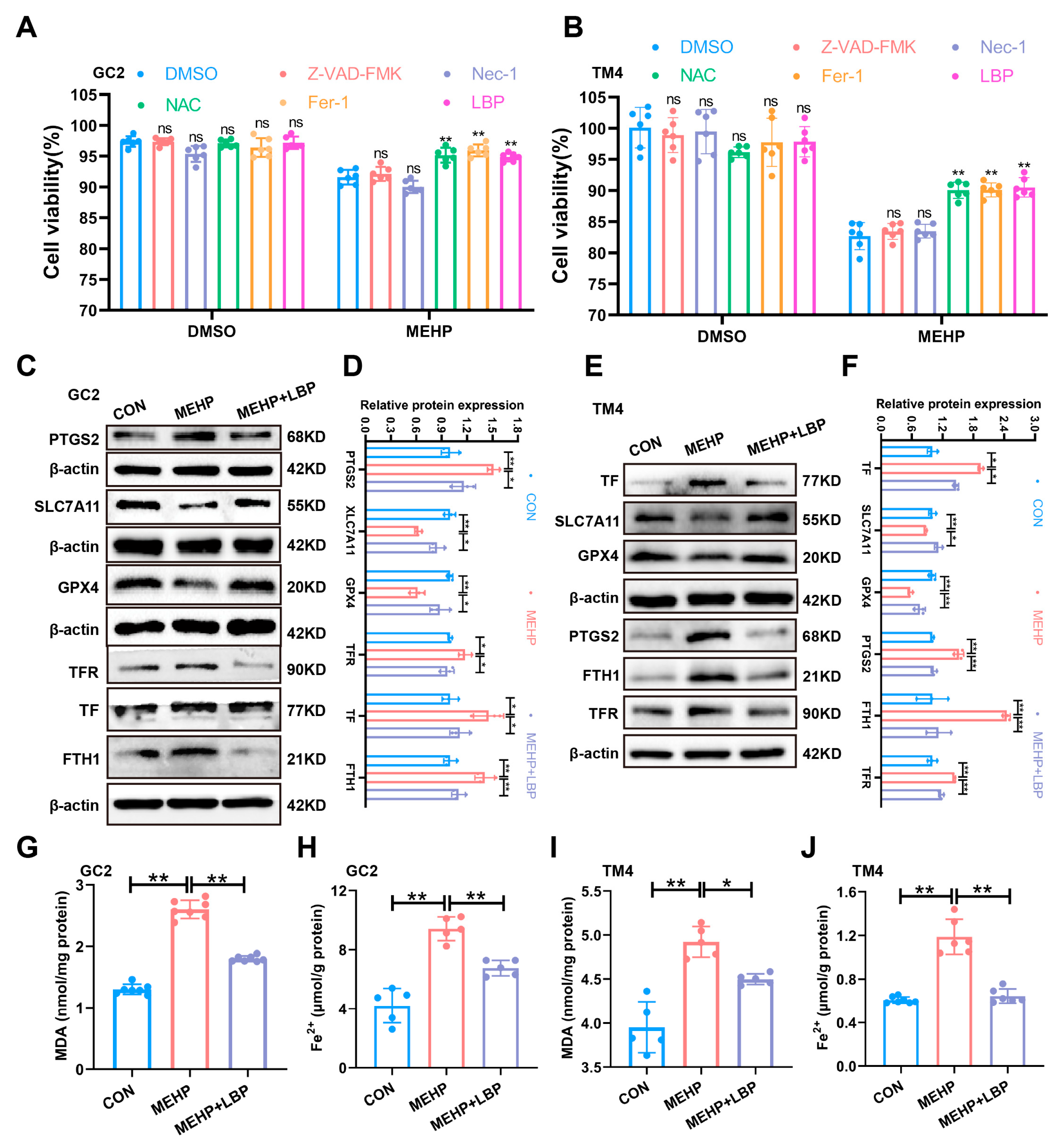 Toxics 13 00677 g005